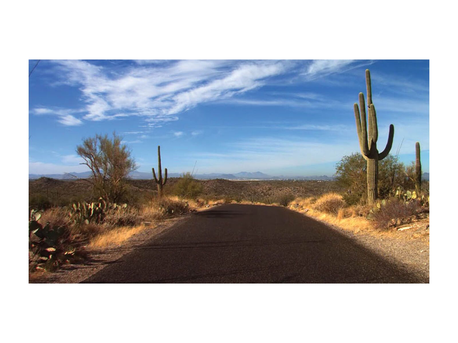 Tacx Real Life Video - Arizona Cycletours (USA) Radtour - Bild 1