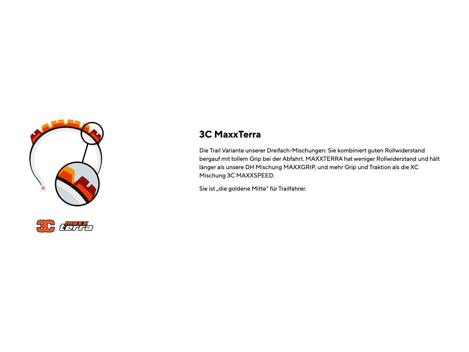 Maxxis Dissector [Gen.2] 3C MaxxTerra DD WT TR - 29 Zoll - Bild 5