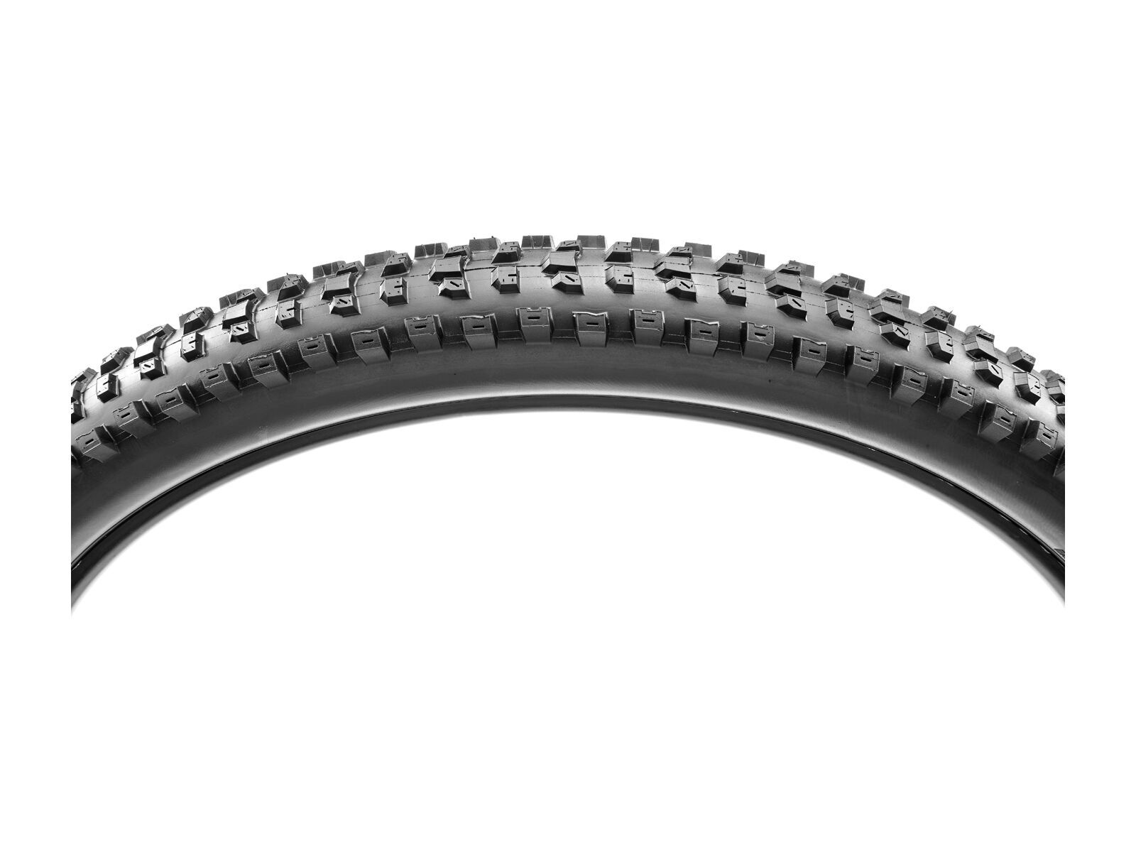 Maxxis Dissector Dual EXO WT TR - 29 Zoll - Bild 3