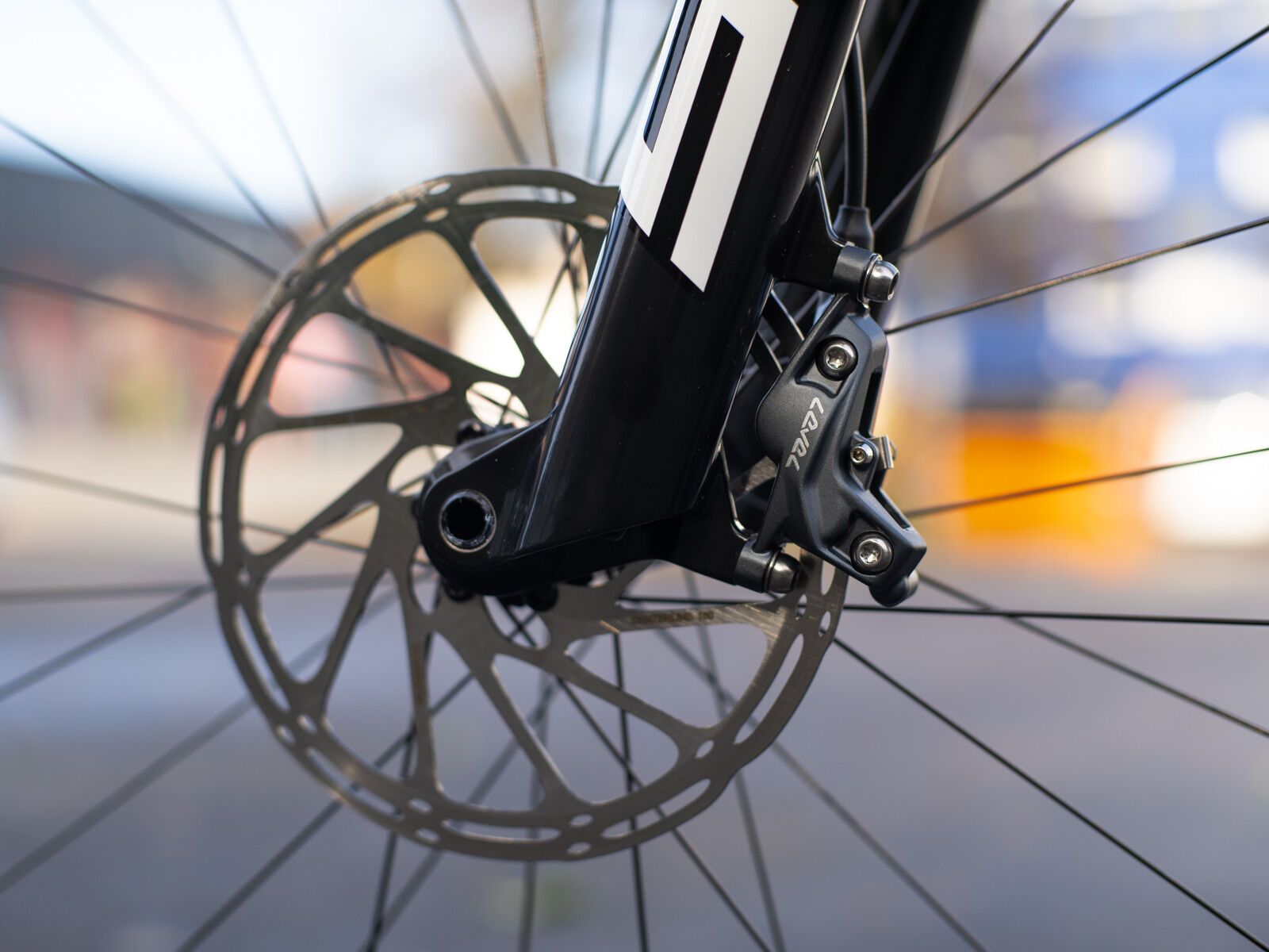 Specialized Epic 8 Expert, carbon/black pearl/white - Bild 16