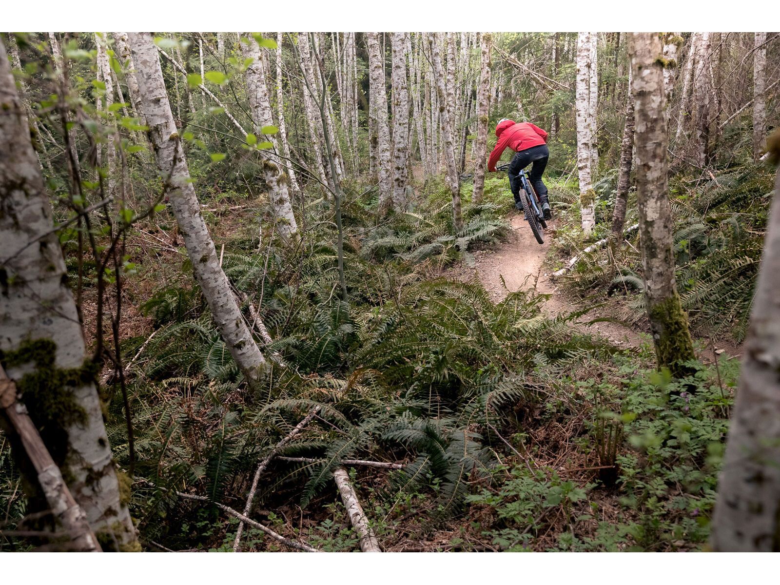 Juliana Roubion C / XT / MX, blue steel/purple - Bild 16