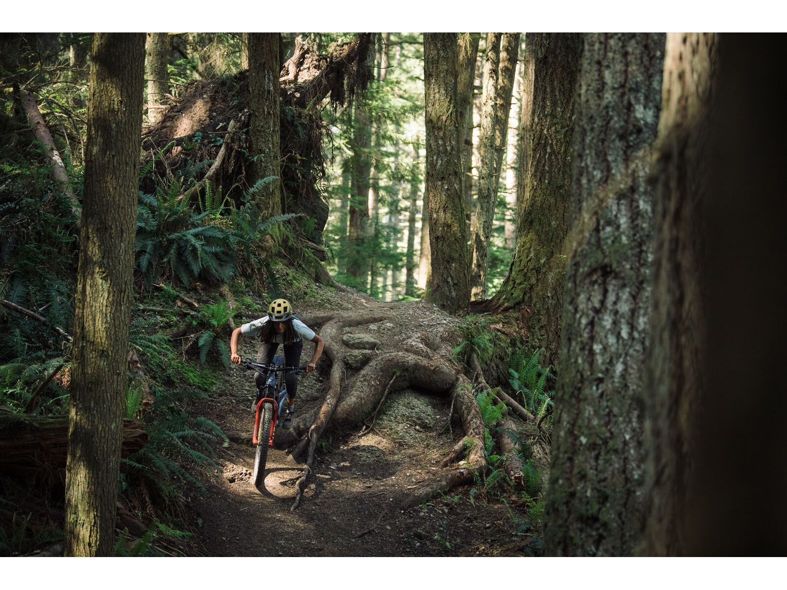 Juliana Roubion C / XT / MX, blue steel/purple - Bild 19