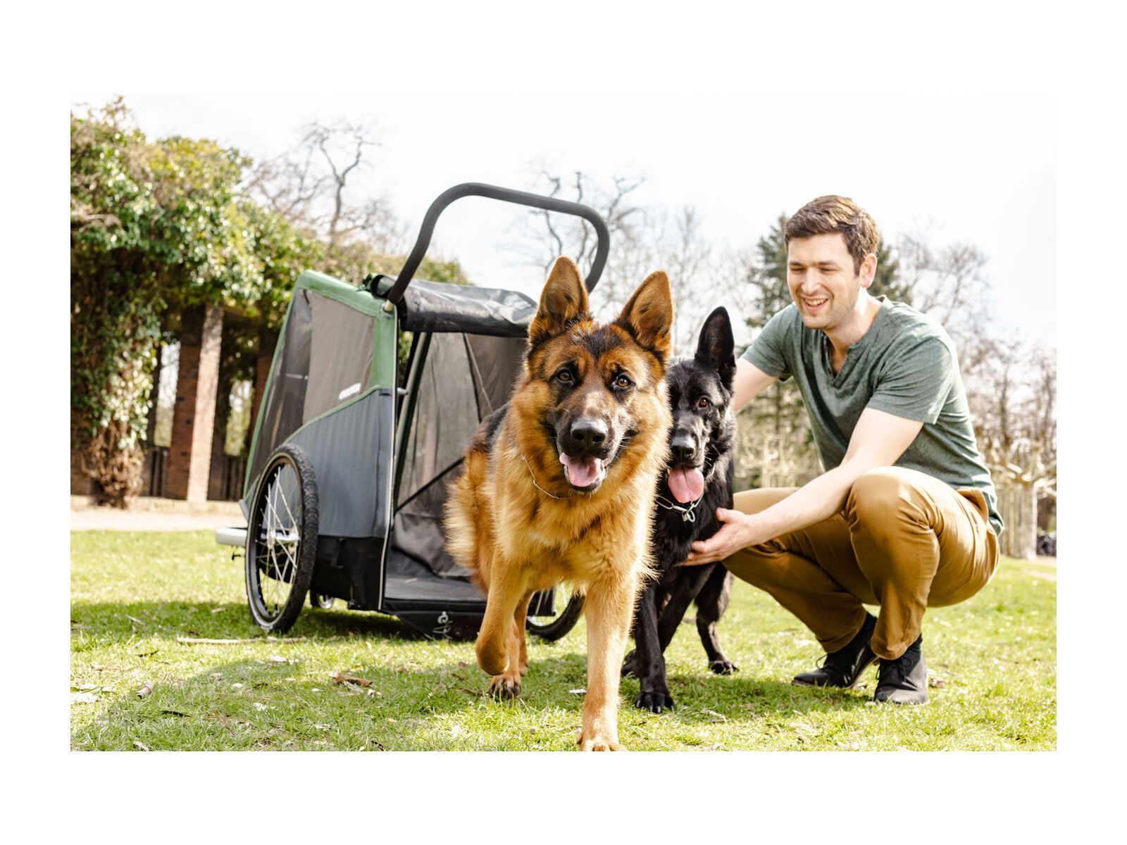 Croozer Dog Bruuno, pine green - Bild 9