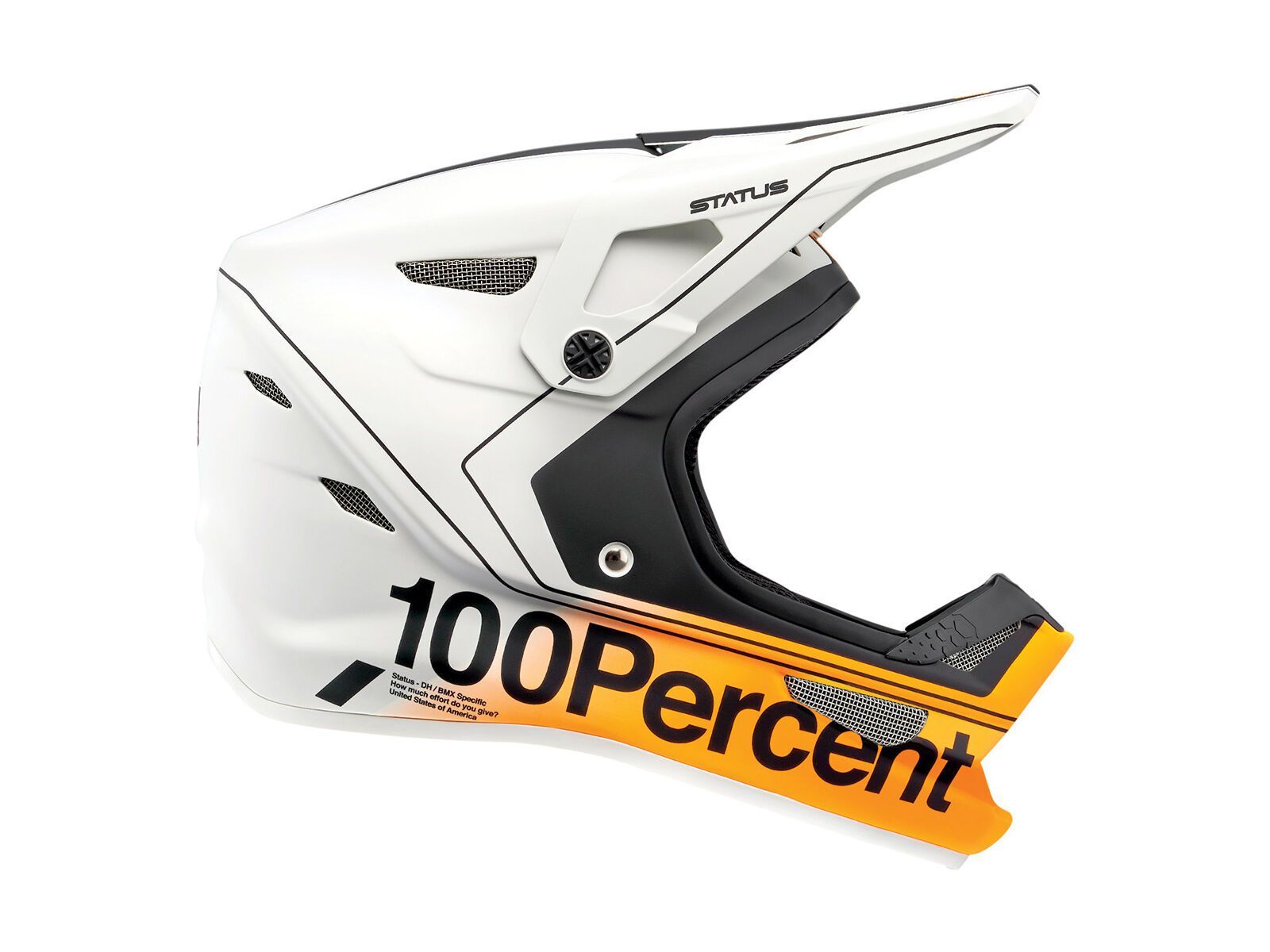 100% Status DH/BMX, carby silver - Bild 1