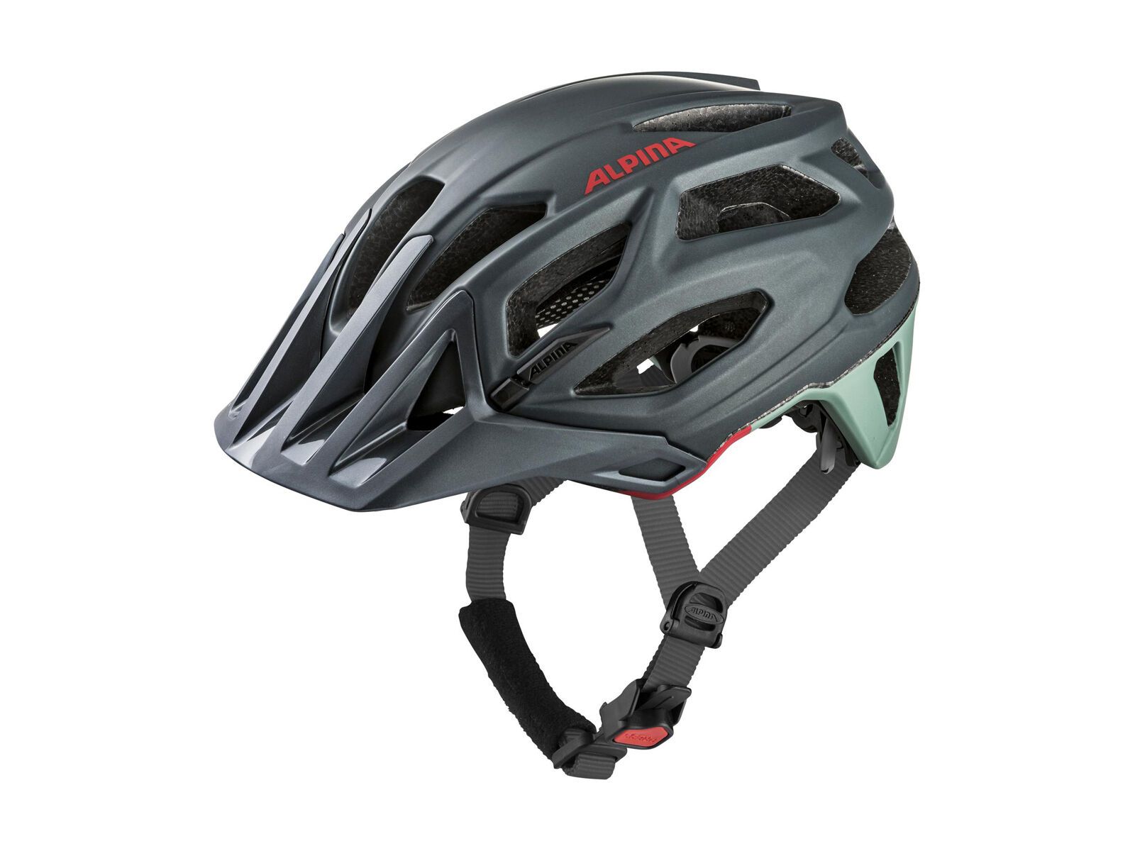 Alpina Garbanzo, seamoss - Bild 1