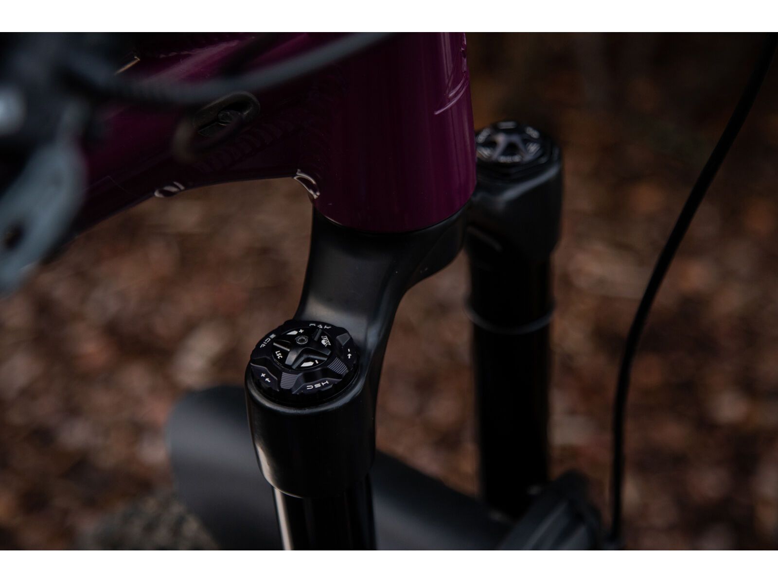 OAK Components Forkcap HSC für Fox 34, 36, 38, 40, black - Bild 2