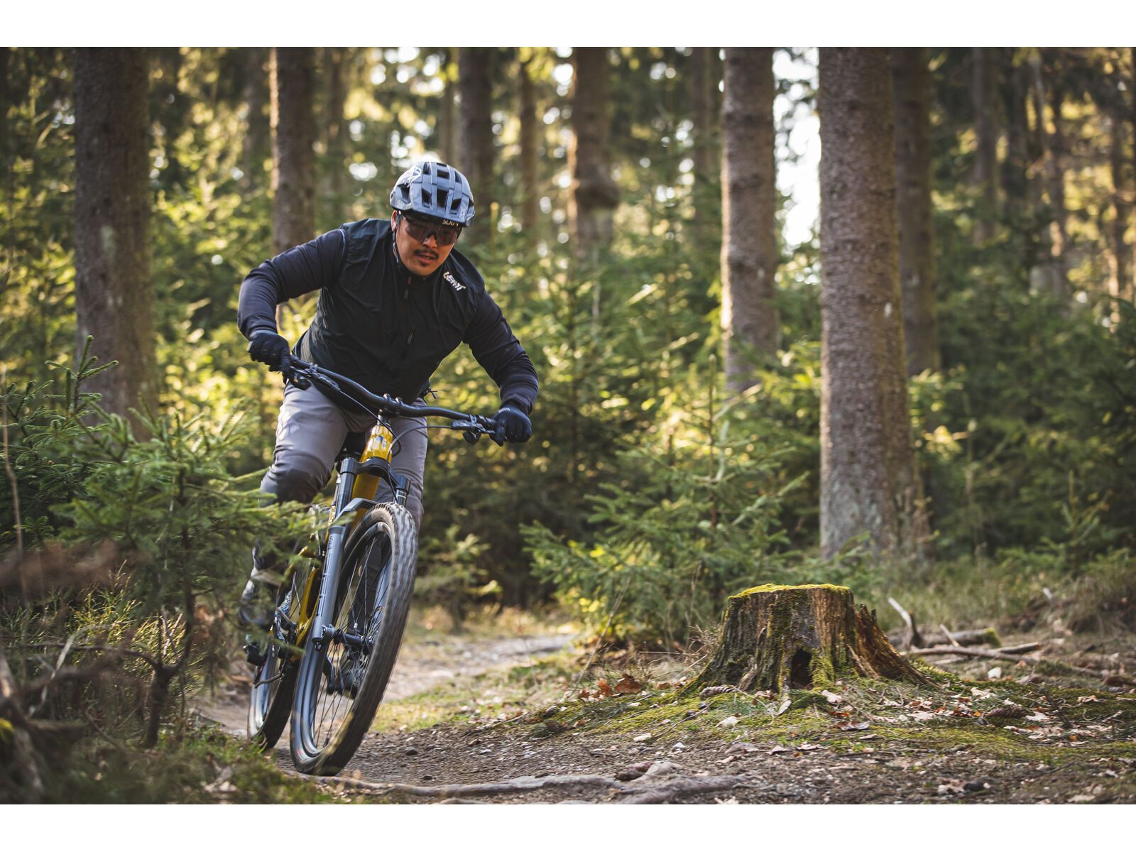 SCIU Aspen, moss yellow - Bild 14