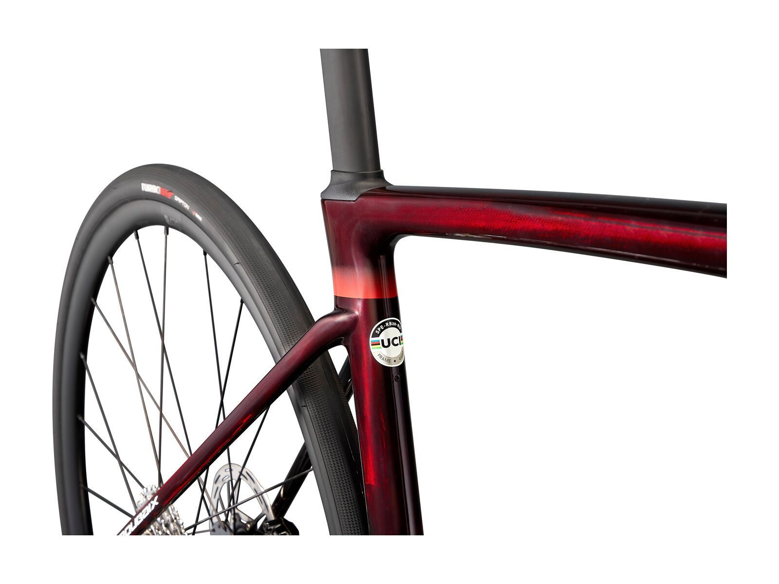 Specialized Roubaix Comp - Rival eTap AXS, red tint carbon/metallic white silver - Bild 7