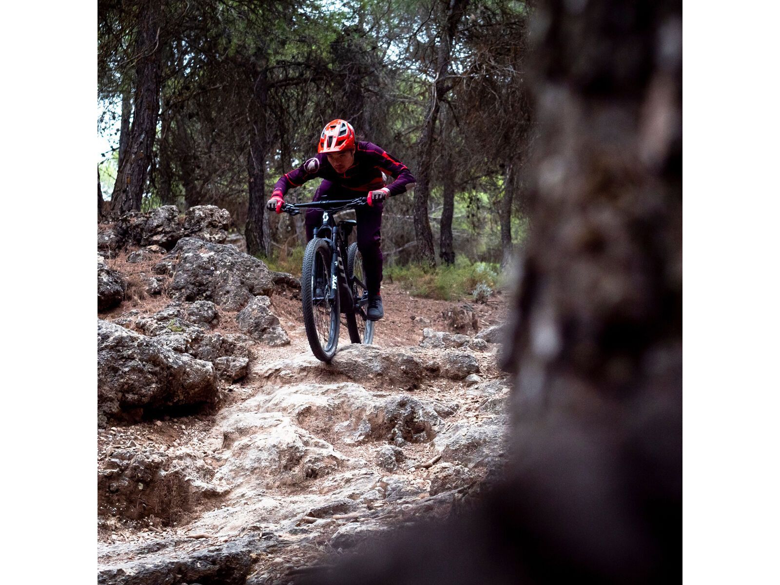 Endura MT500 Druck T-Shirt LTD (langarm), granatapfel - Bild 3