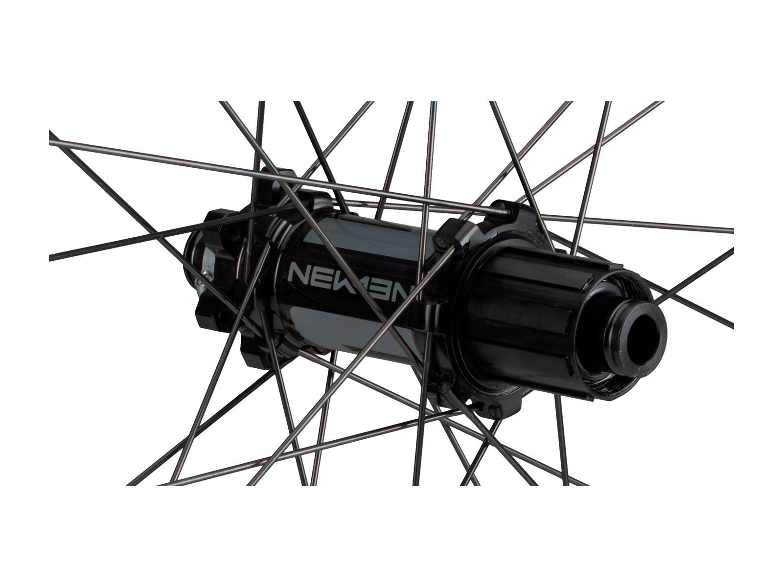 Newmen Evolution SL A.30 29 - Bild 3