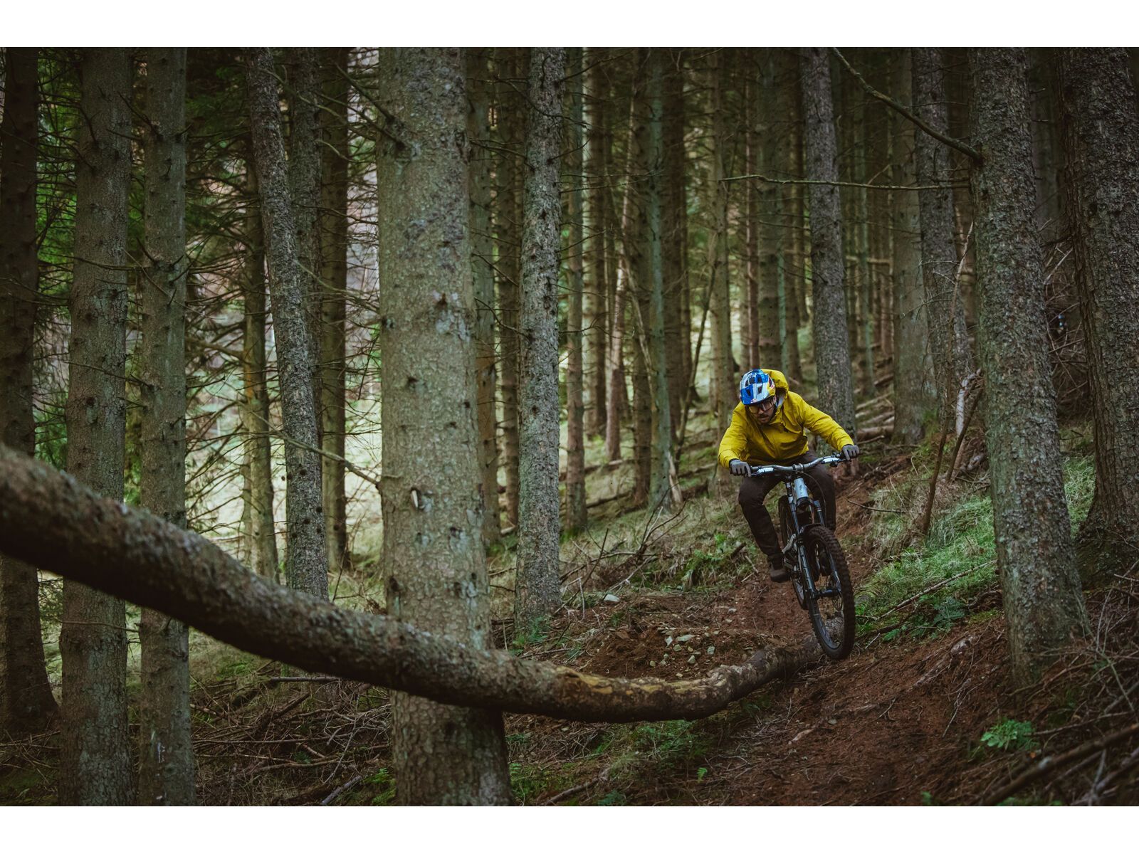 Schwalbe Shredda Rear Radial Addix Ultra Soft Gravity Pro - 29 Zoll - Bild 18