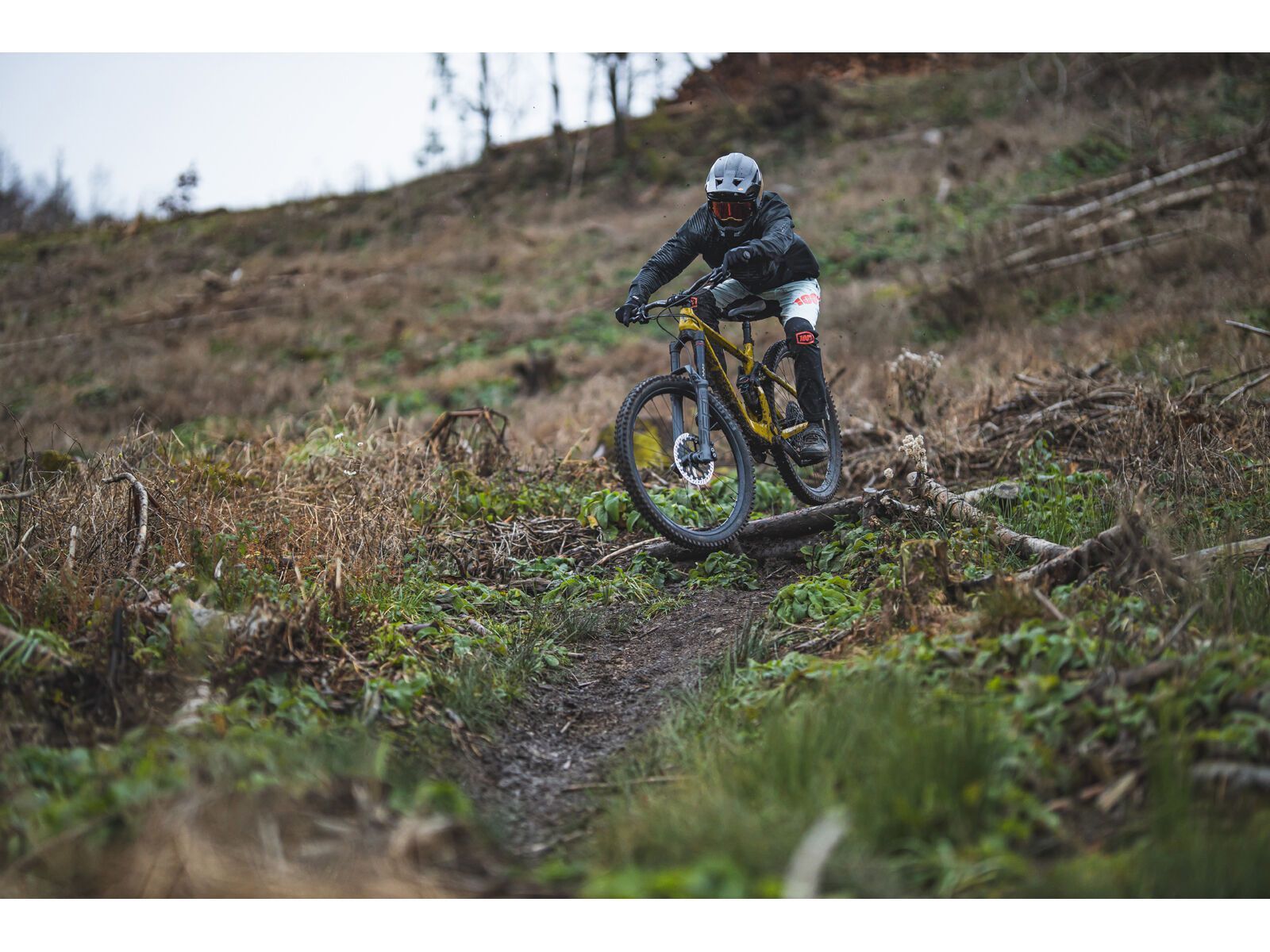 SCIU Aspen, moss yellow - Bild 30