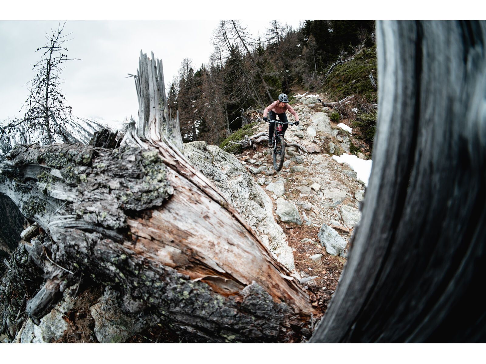 Santa Cruz Hightower C / GX AXS / 29, matte cardinal red - Bild 12