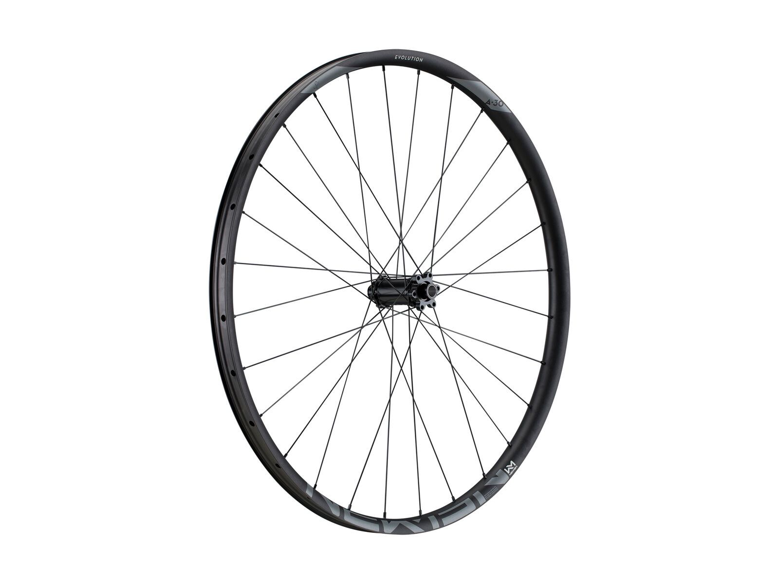 Newmen Evolution SL A.30 6-Loch - 29 / 15x110 mm Boost, black - Bild 1