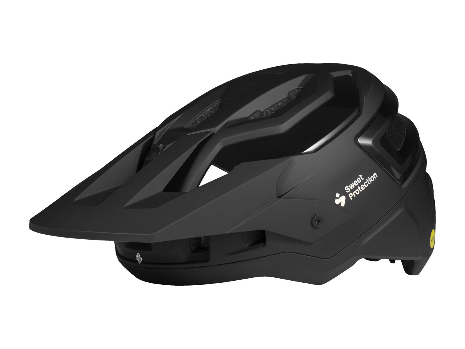 Sweet Protection Bushwhacker 2Vi MIPS, matte black - Bild 1