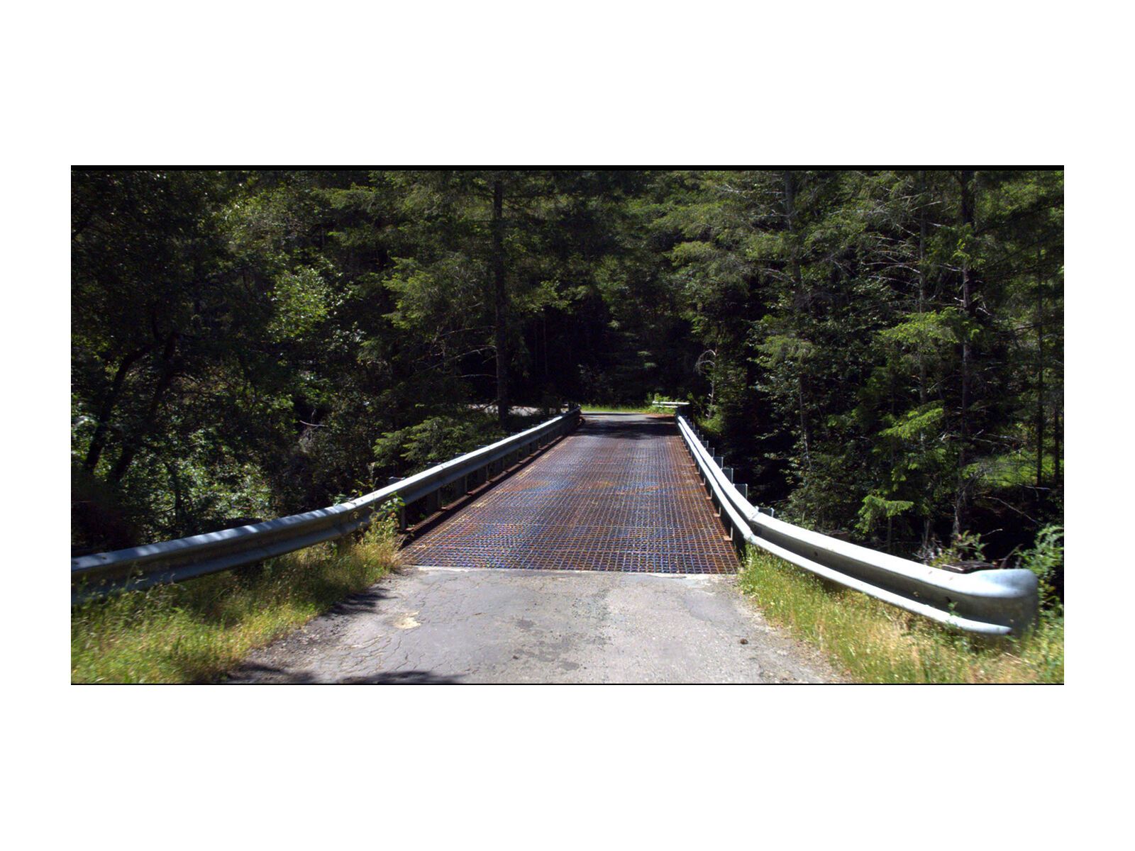 Tacx Real Life Video - King Ridge GranFondo (USA) Radtour - Bild 4