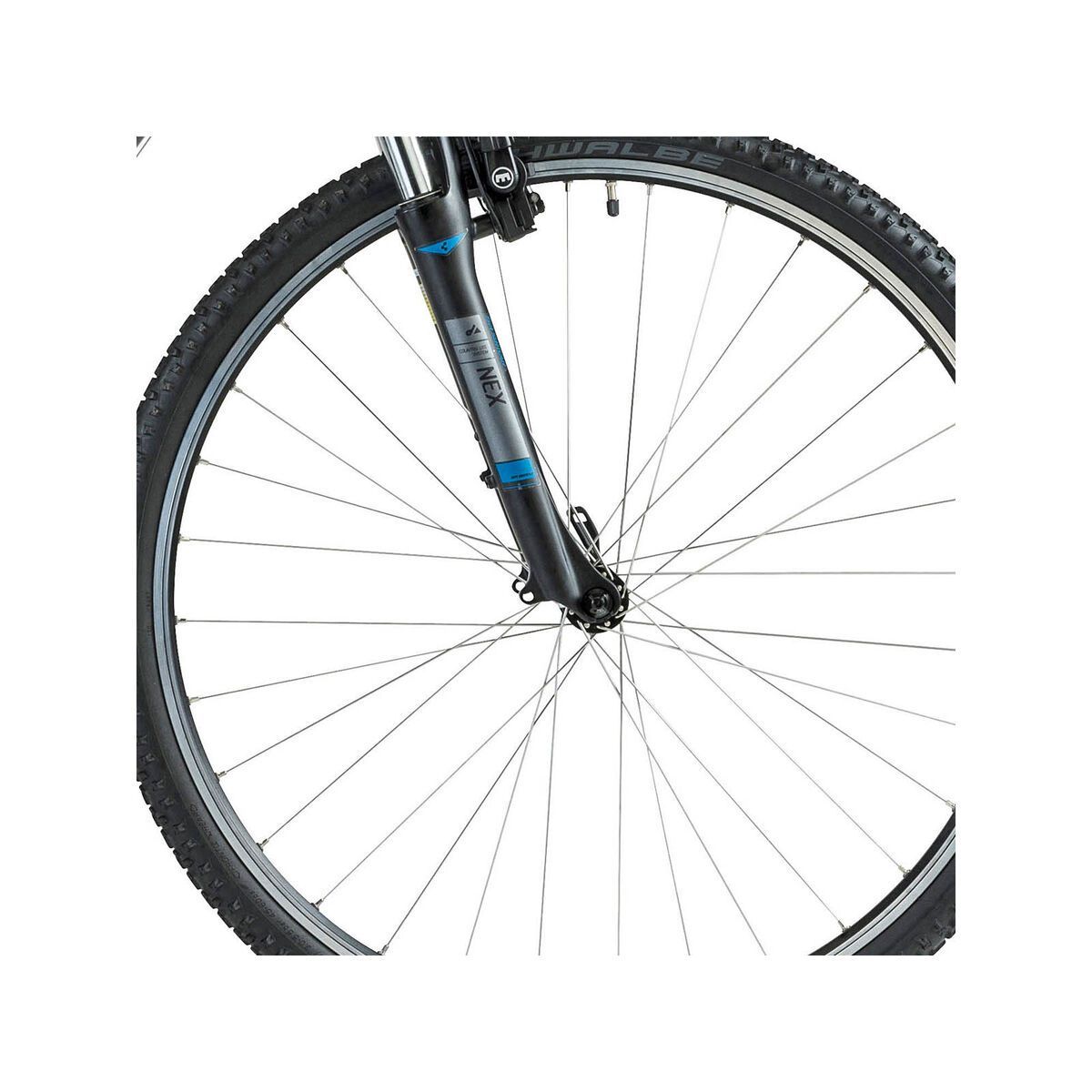 Cube Nature Lady, grey blue print - Bild 2