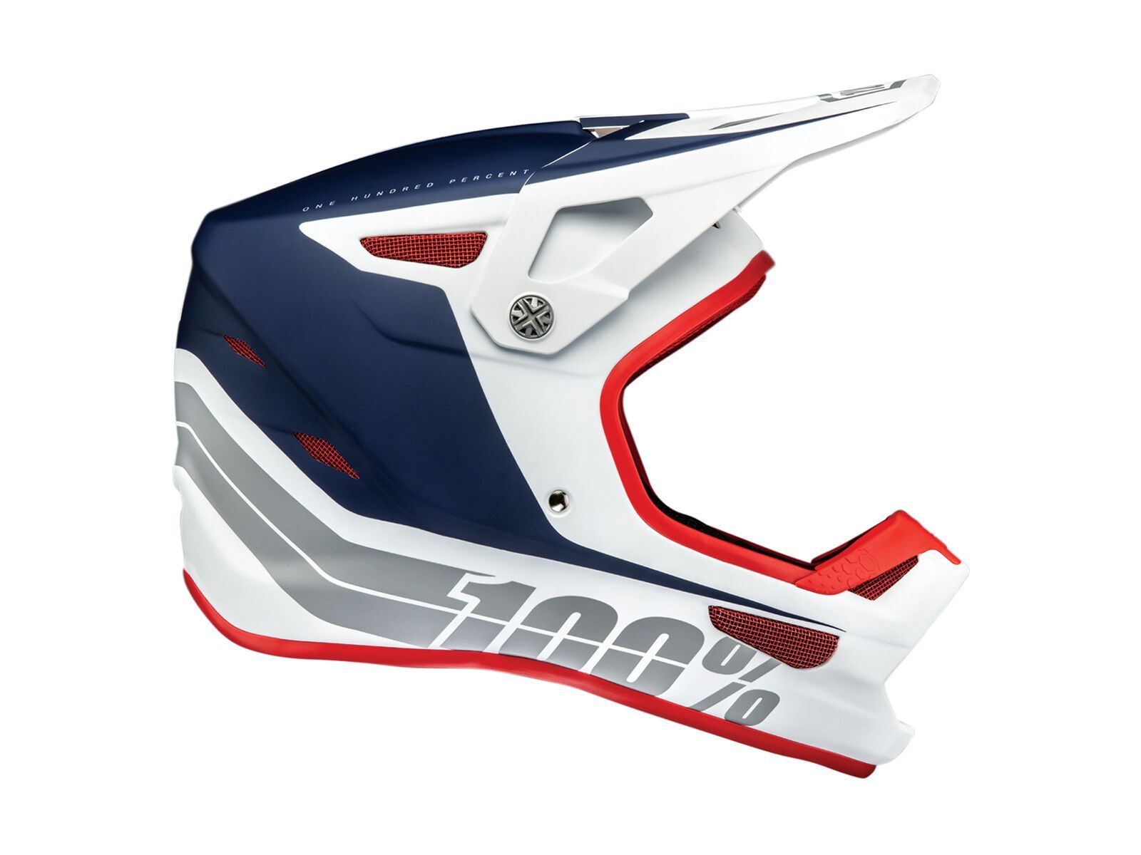 100% Status DH/BMX, rodion - Bild 1