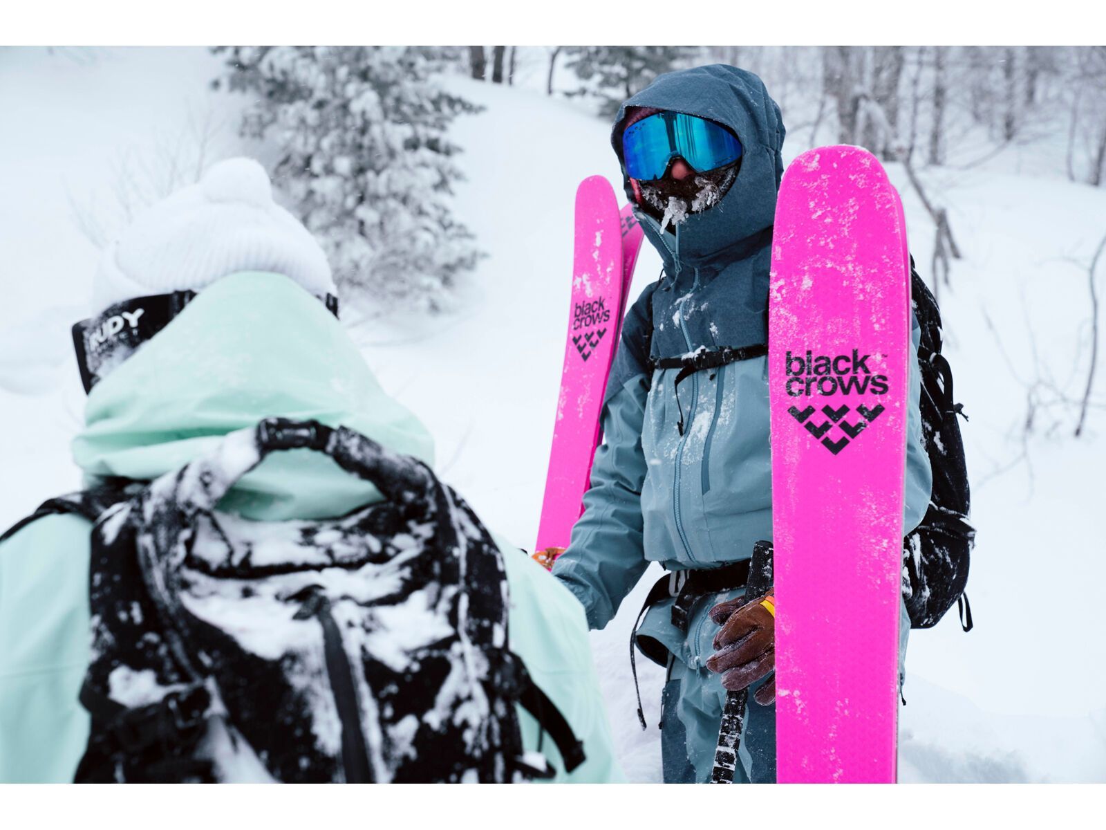 Black Crows Corvus Freebird, pink | BIKER-BOARDER.DE