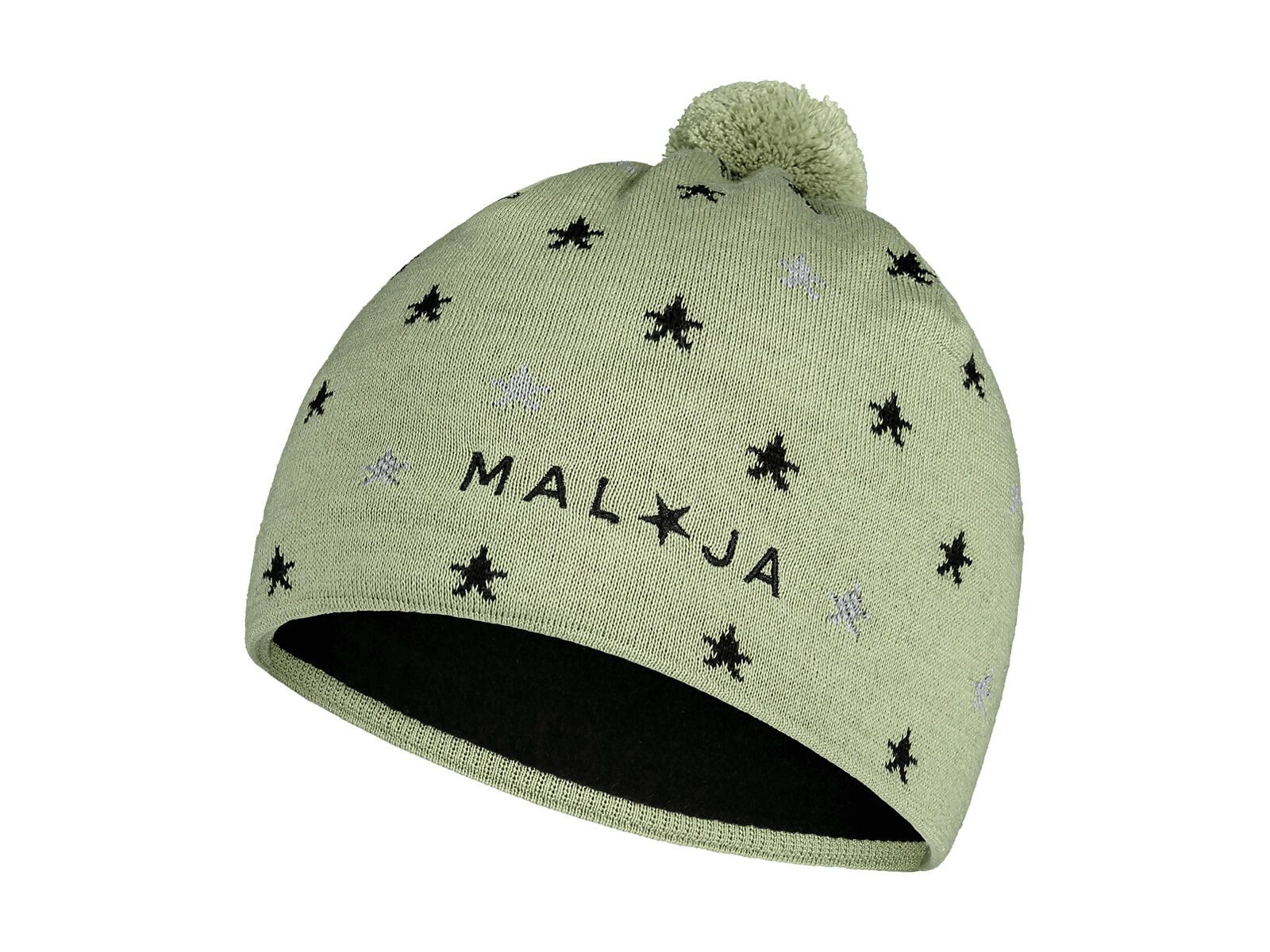 Maloja BergblumeM., glade - Bild 1