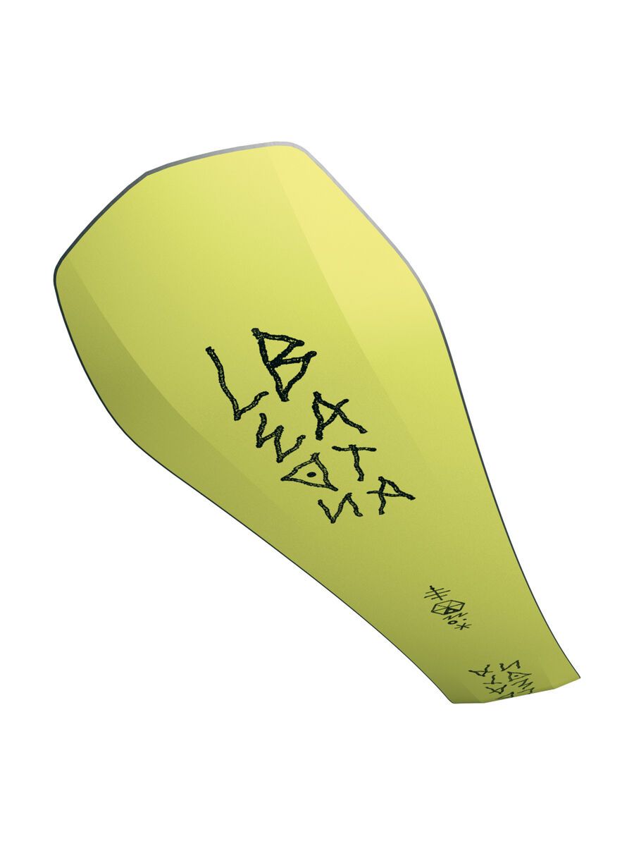 Bataleon Disaster - Bild 19