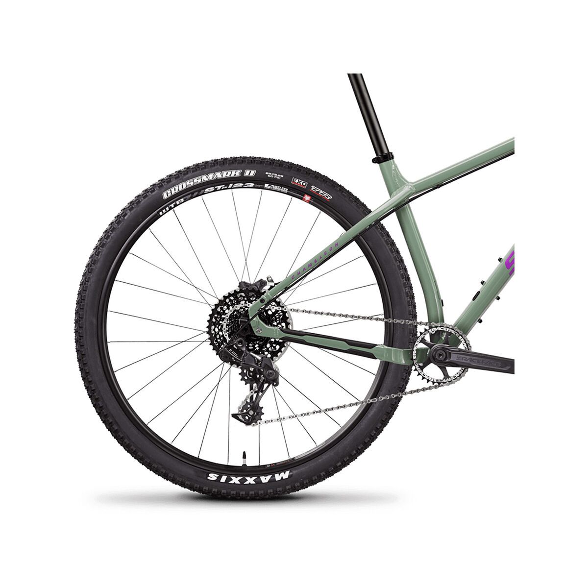 Santa Cruz Chameleon D 29, gloss olive and violet - Bild 5