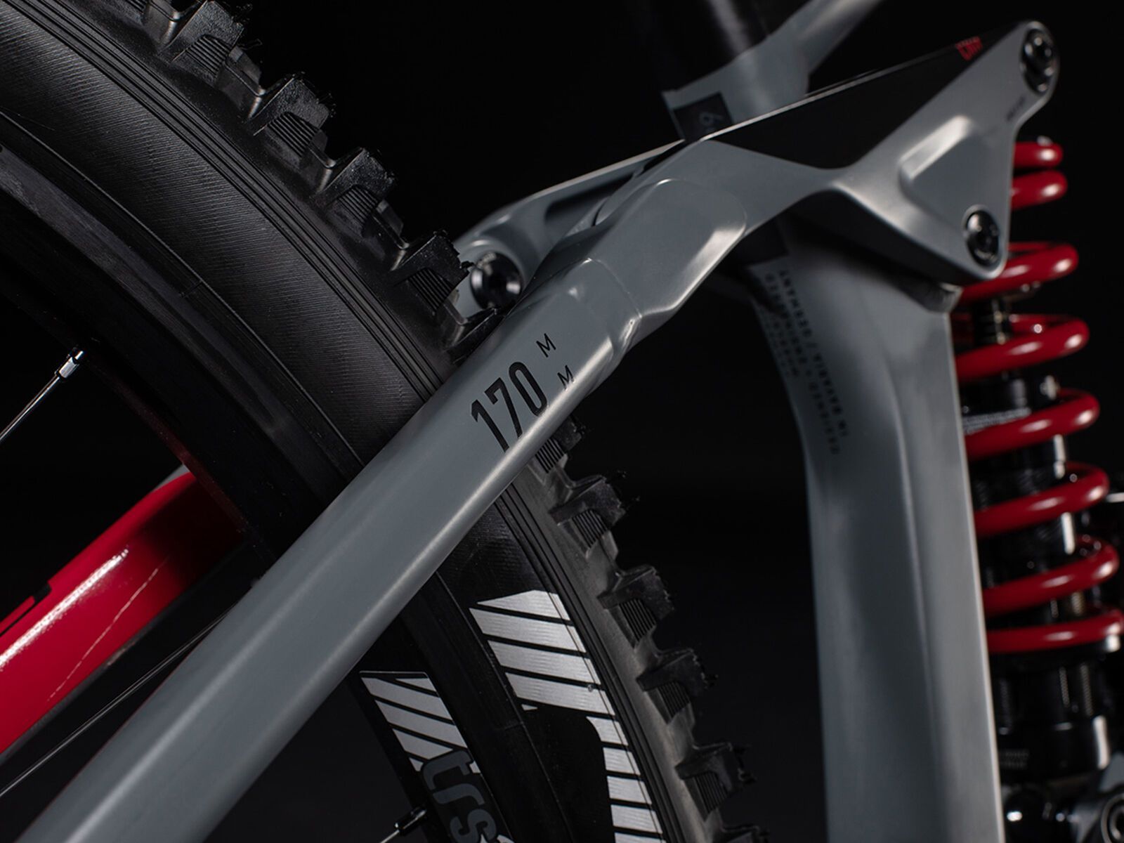 Cube Stereo 170 TM 29, grey´n´red - Bild 4