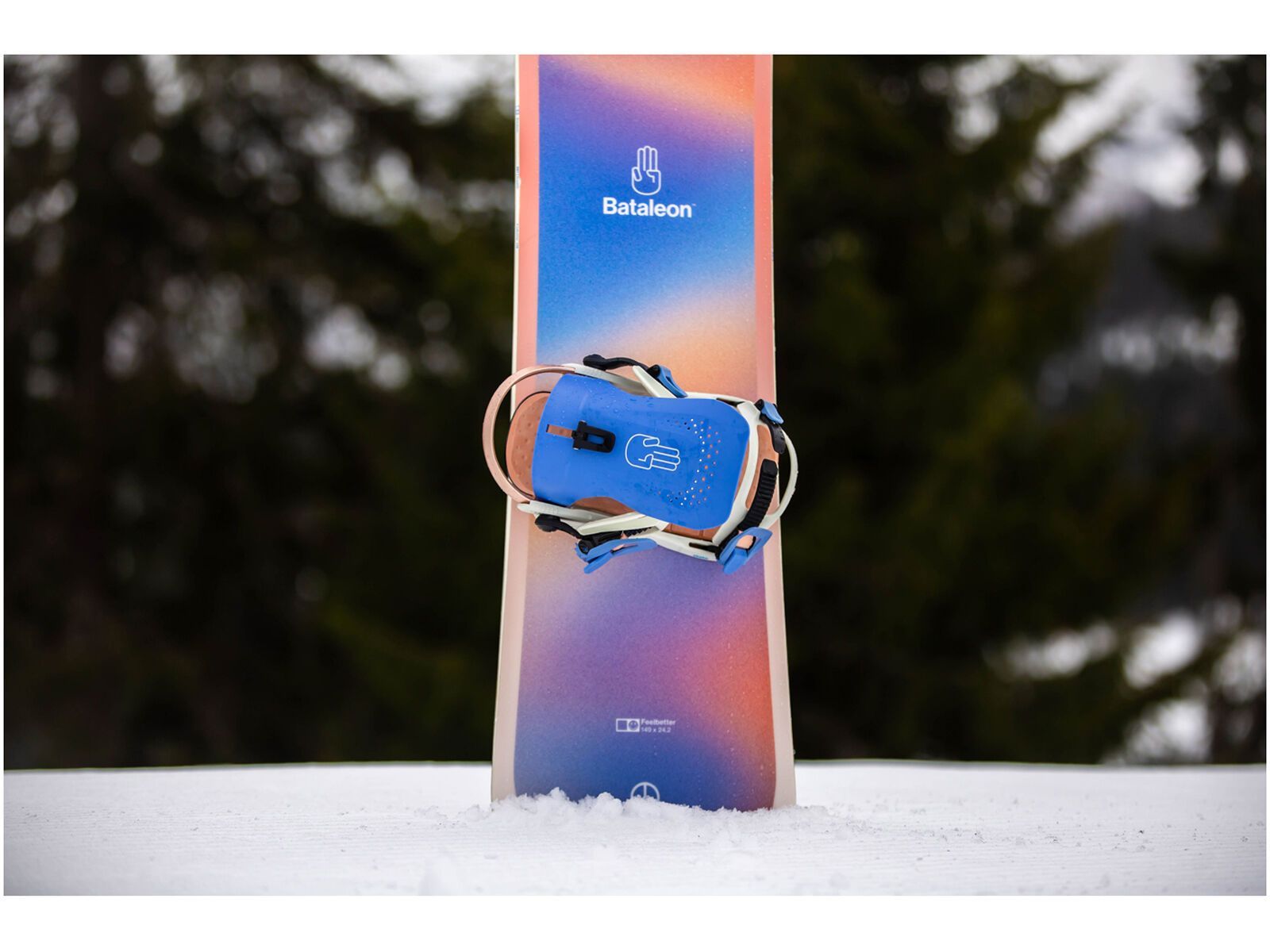 Bataleon Gata, blue - Bild 10