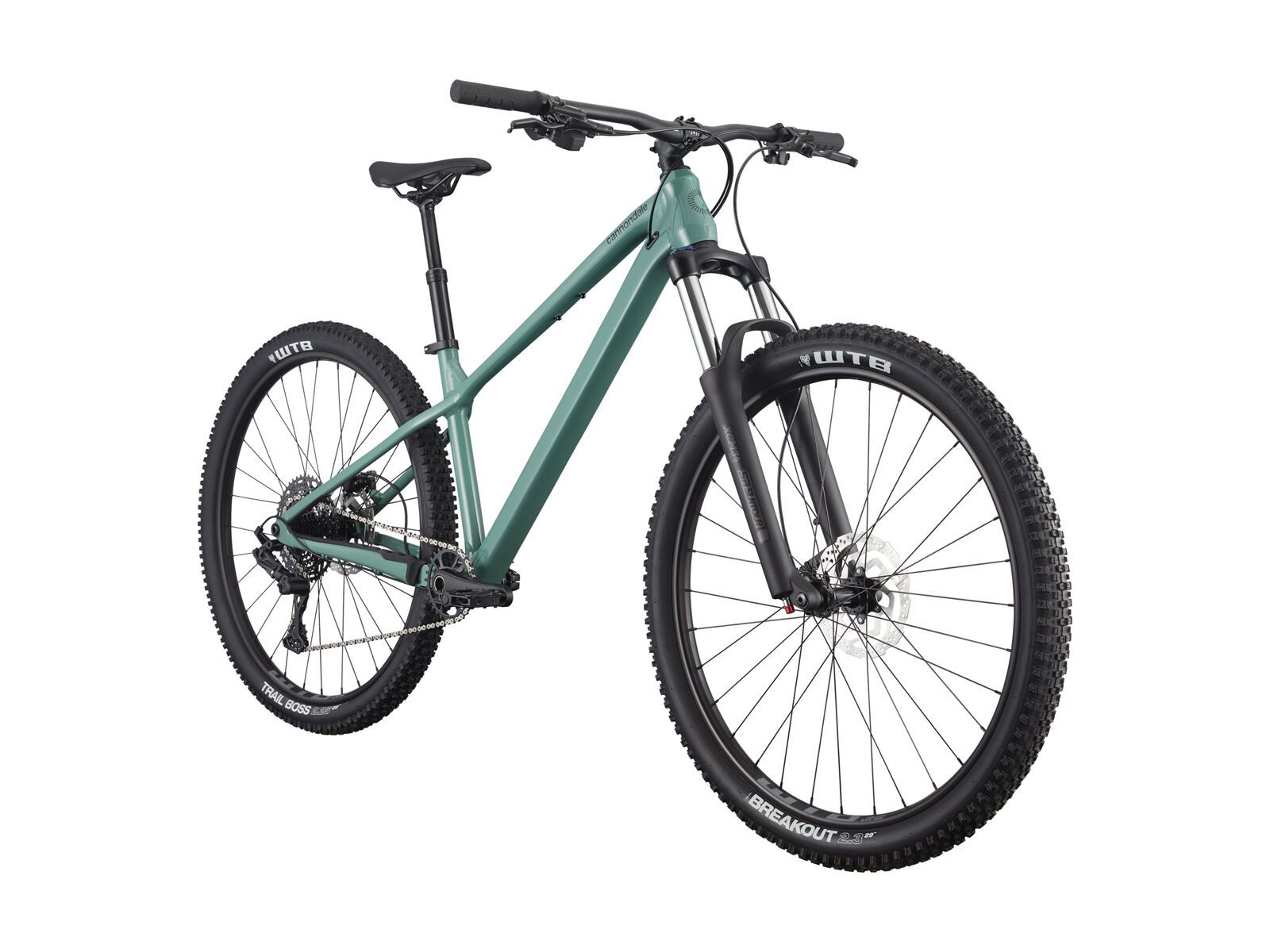 Cannondale Habit HT 3, jade - Bild 2