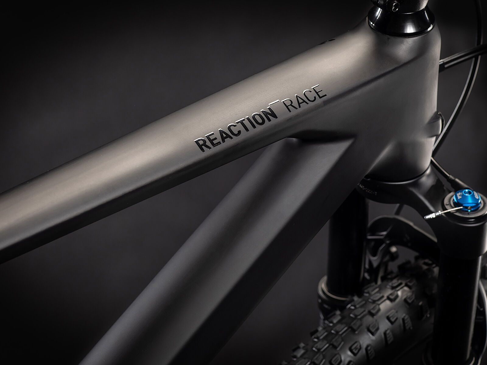 Cube Reaction C:62 Race, carbon´n´white - Bild 2