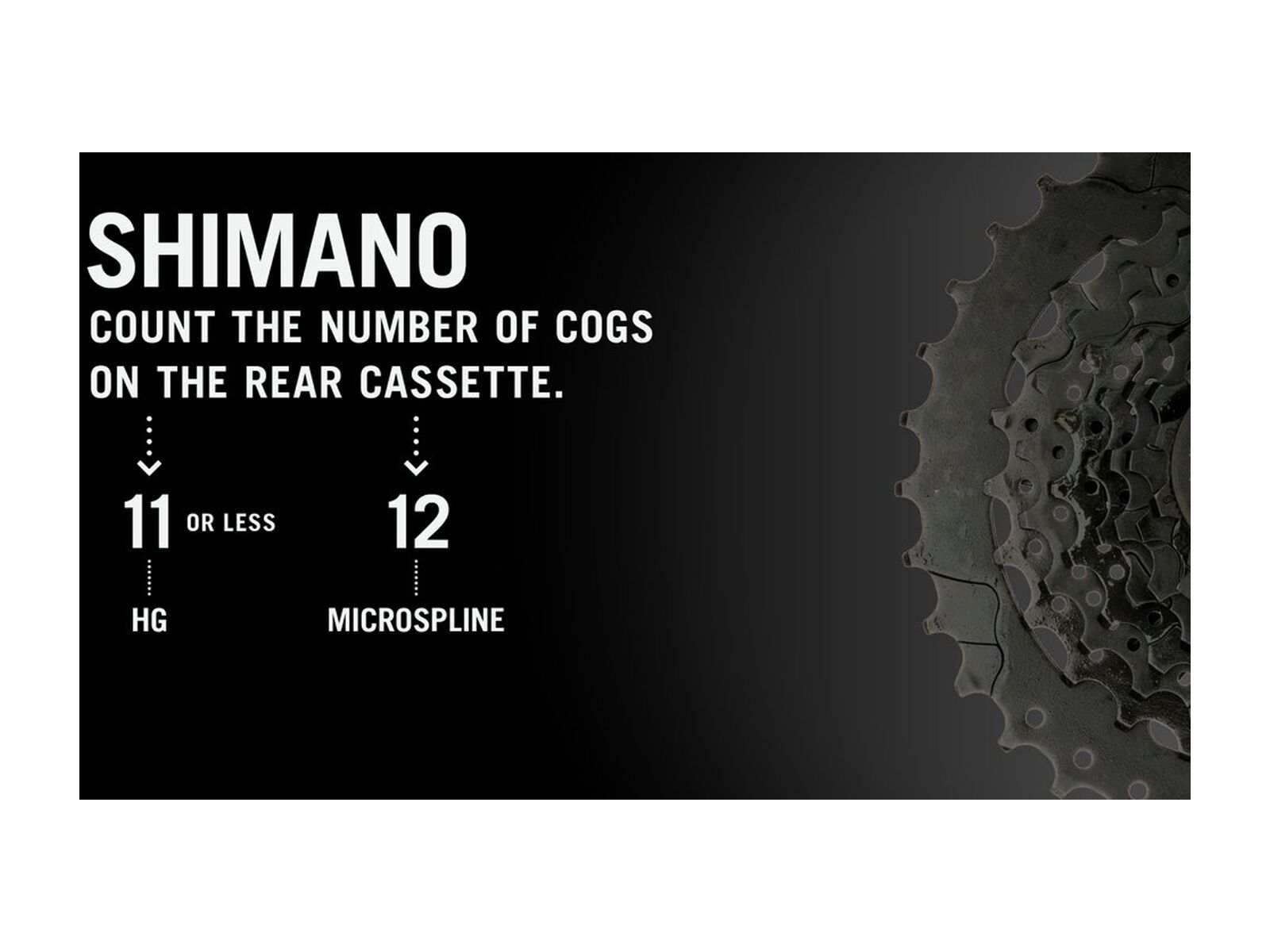 Race Face Vault Cassette Body - Shimano Micro Spline - Bild 3