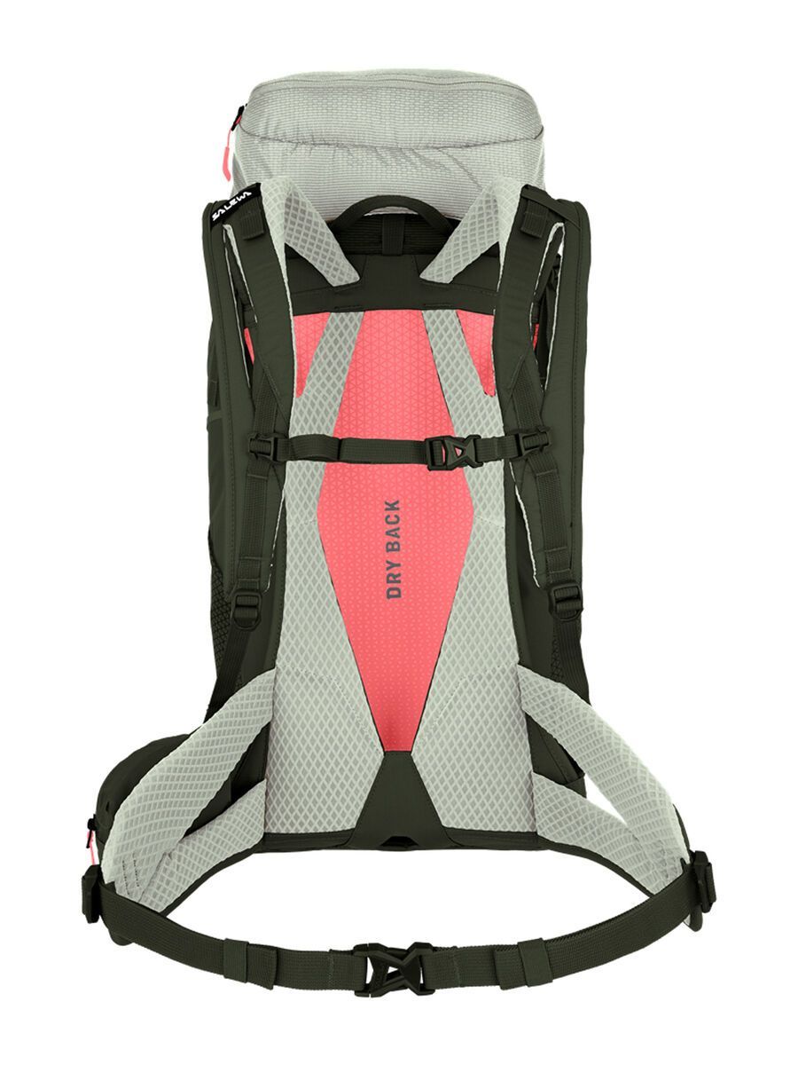 Salewa Alp Trainer 35+3L, shadow/dark olive - Bild 2