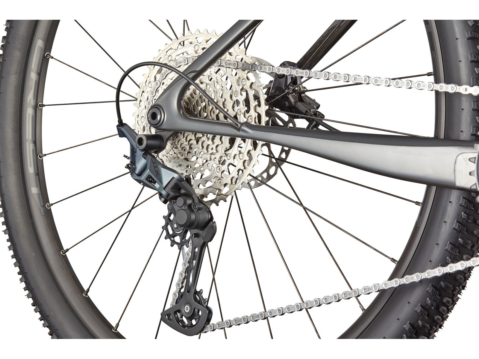 Cannondale Scalpel HT Carbon 2, tiger eye - Bild 4