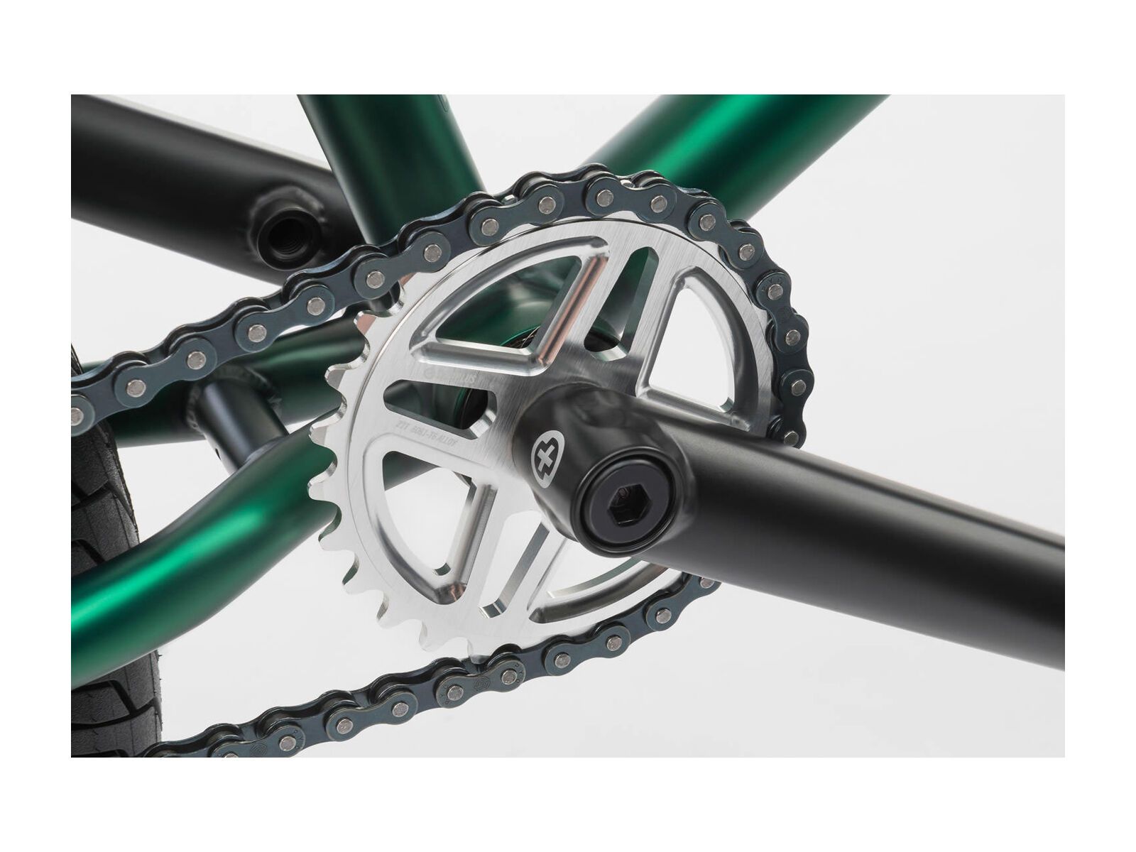 WeThePeople Versus, grün - Bild 4