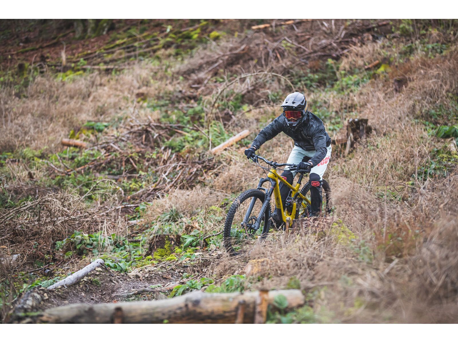 SCIU Aspen, moss yellow - Bild 17