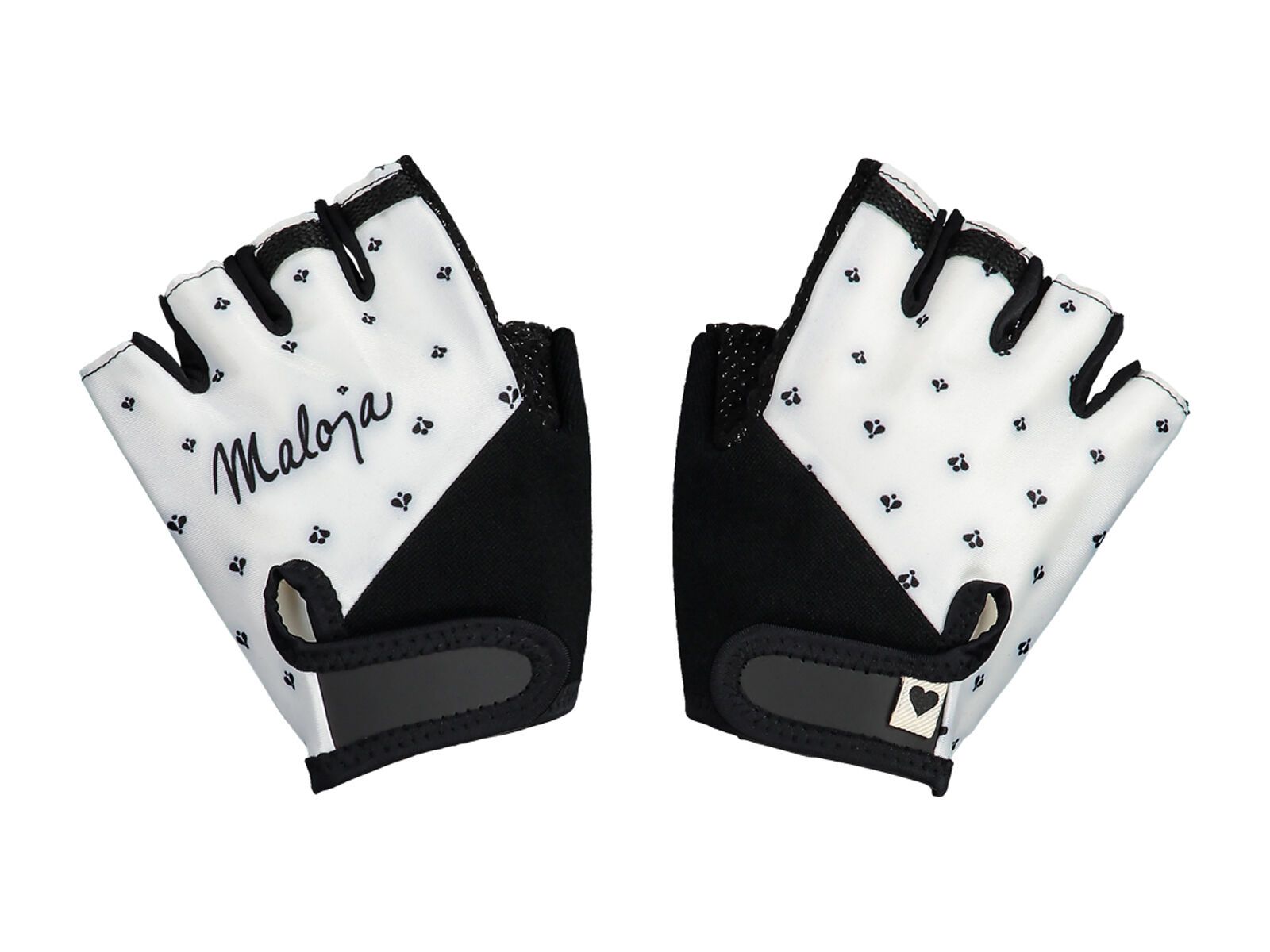 Maloja WeideM., snow - Bild 1