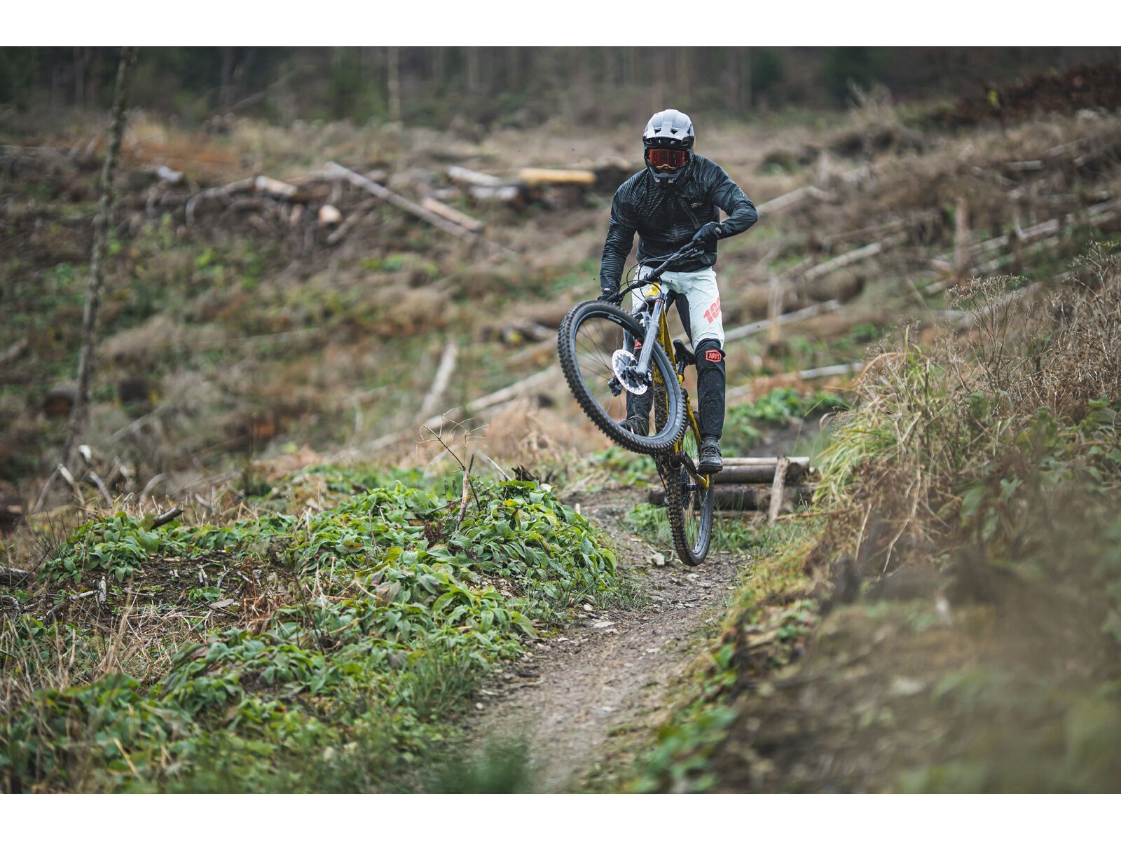 SCIU Aspen, moss yellow - Bild 27