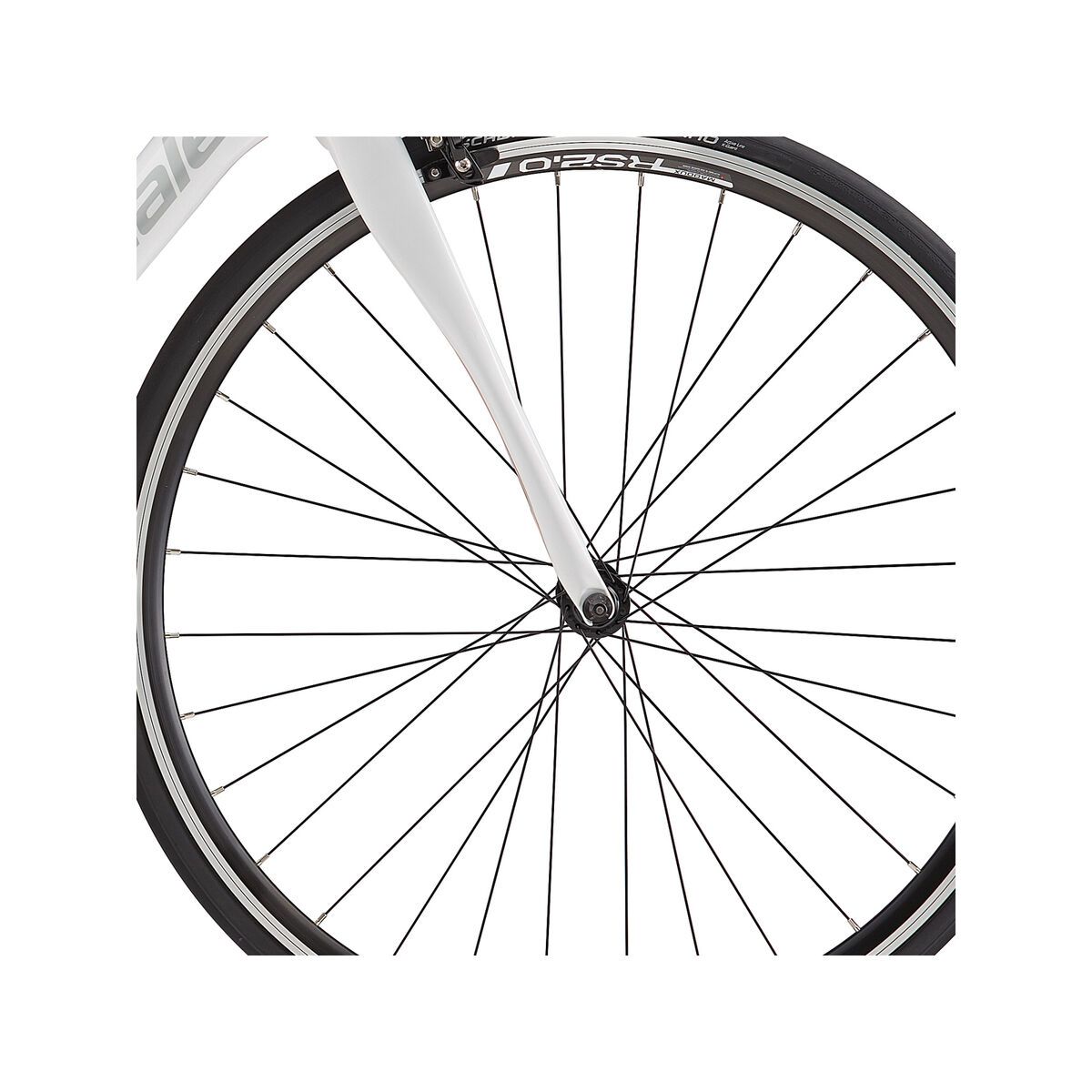 Cannondale Synapse Carbon Women's Tiagra 6, magnesium white w/ marigold and primer grey, gloss - Bild 2