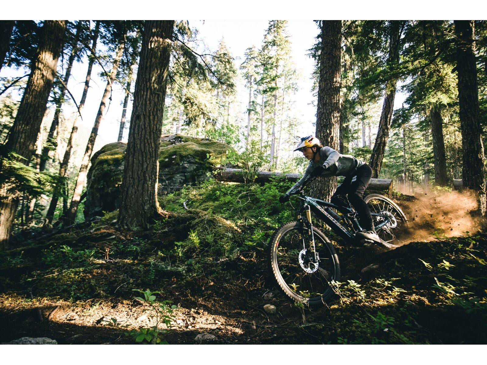 Santa Cruz Vala C / GX AXS / MX, gloss grey - Bild 13