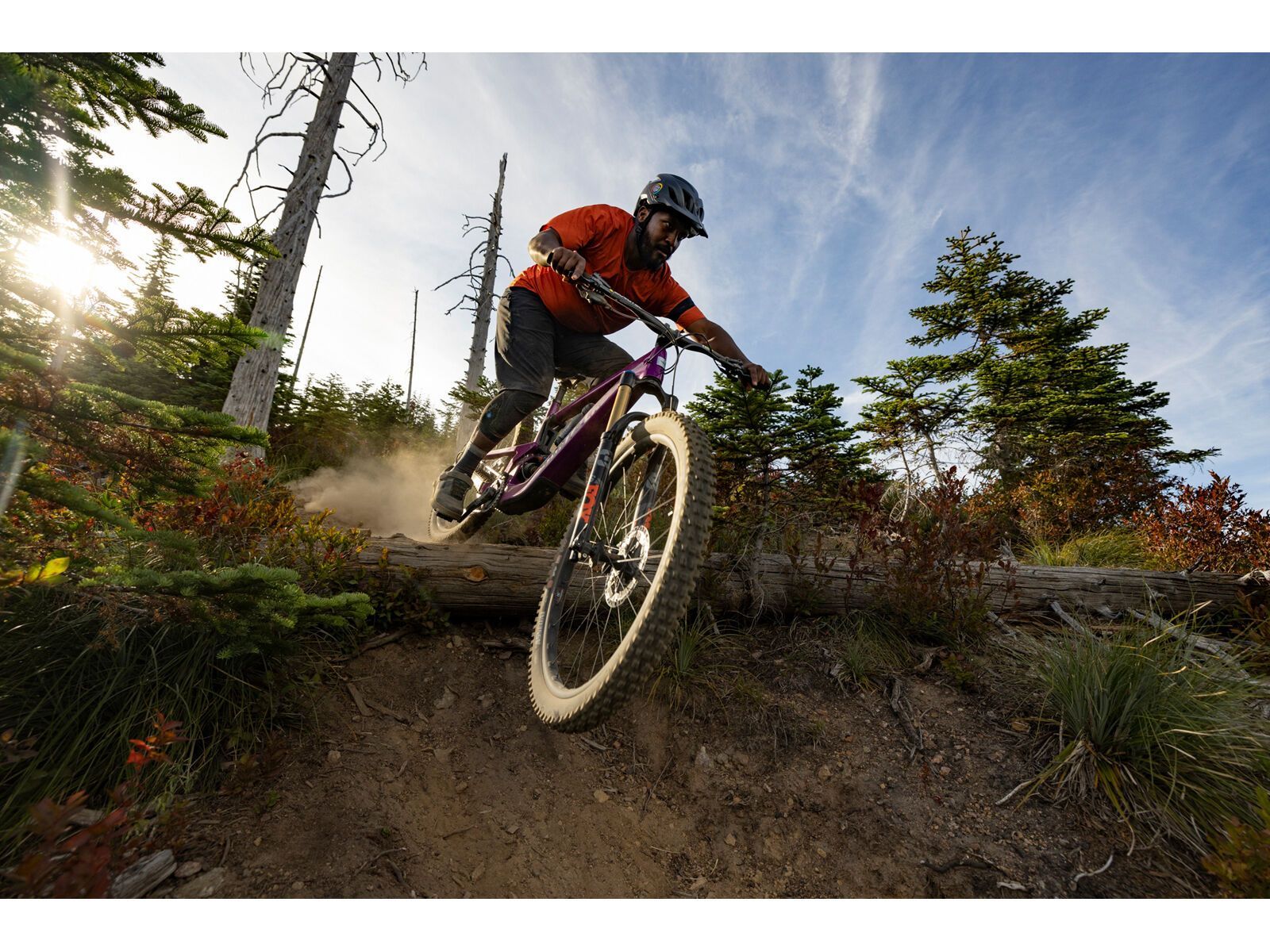 Santa Cruz Heckler SL C / R / MX, gloss magenta - Bild 17