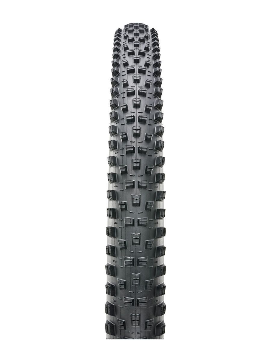 Maxxis Forekaster 3C MaxxTerra EXO WT TR - 29 Zoll - Bild 2
