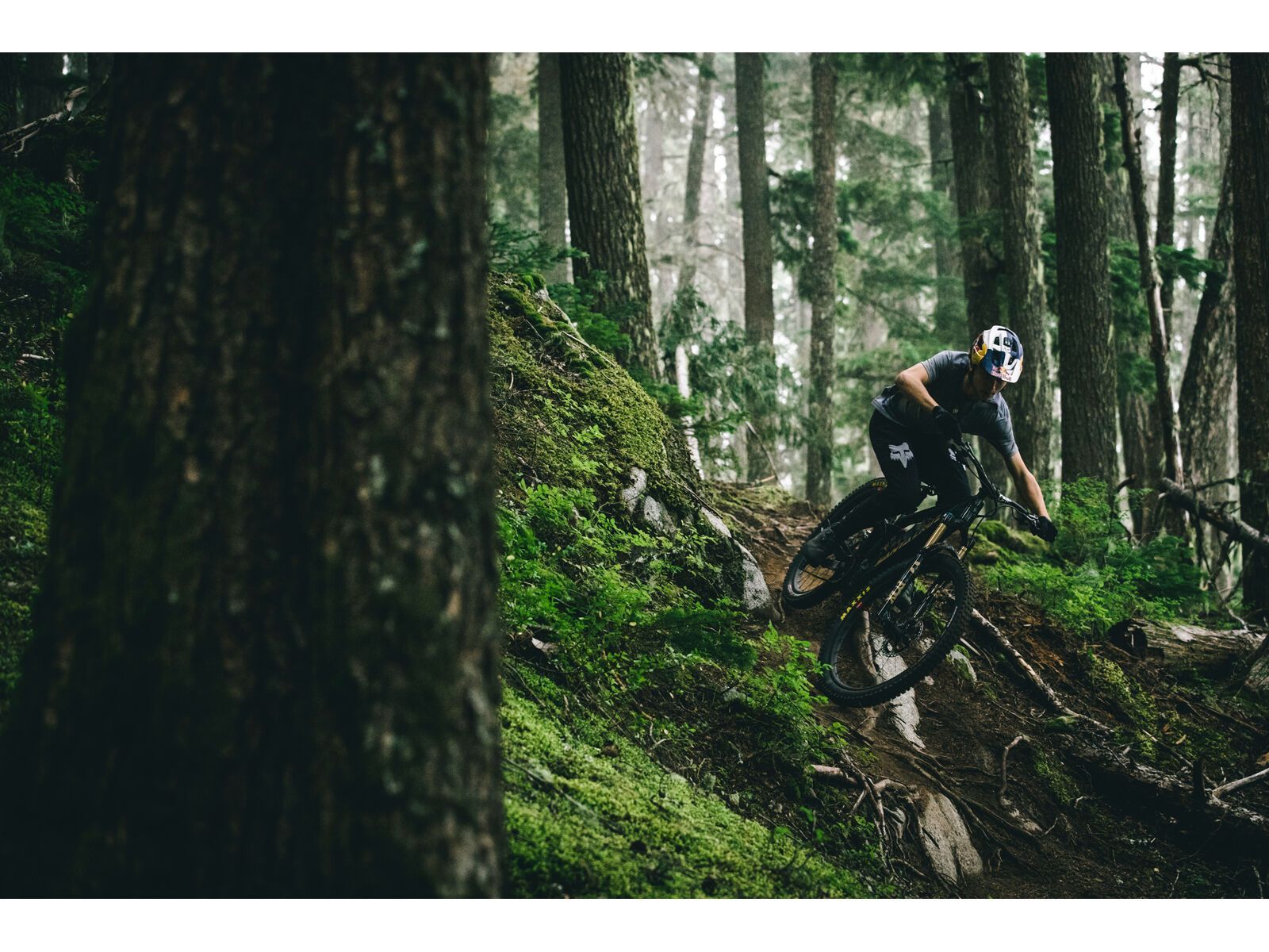 Santa Cruz Vala C / GX AXS / MX, gloss grey - Bild 8