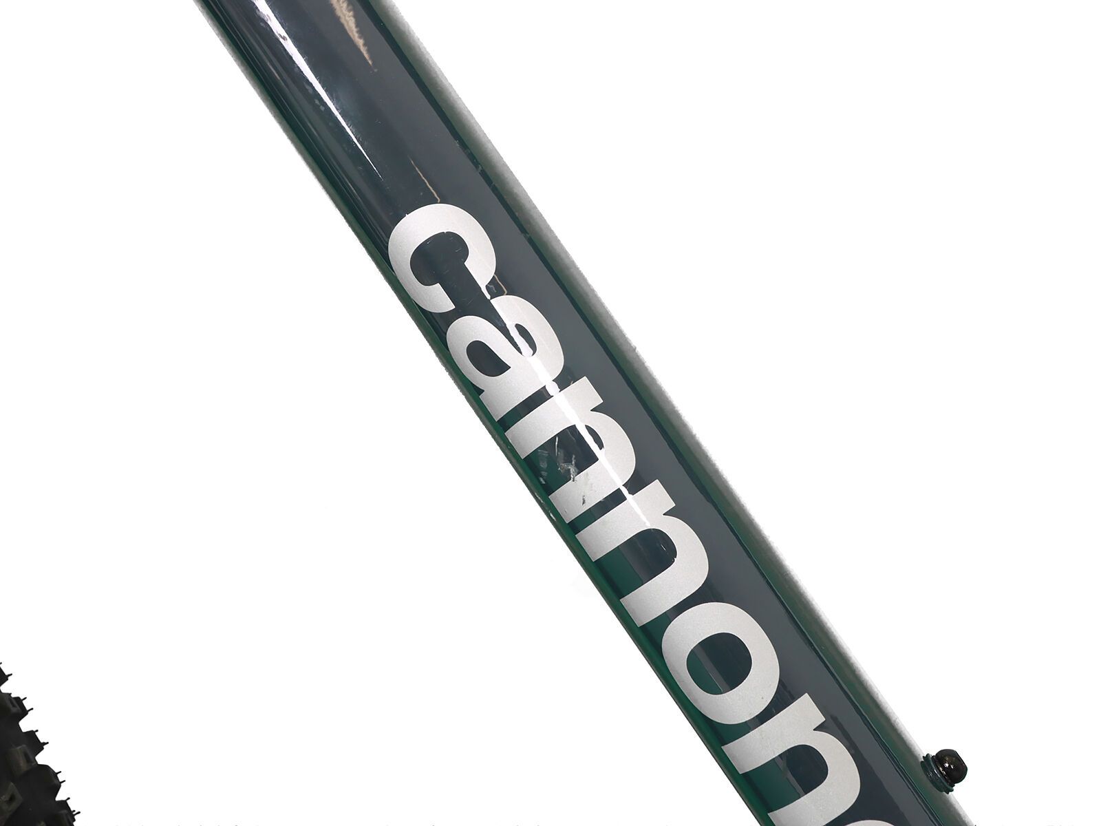 ***2. Wahl*** Cannondale Trail 6 - 29 slate gray 2022 - Bild 11