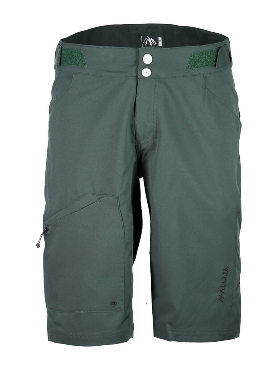 Maloja RetoM., pinetree - Bild 1