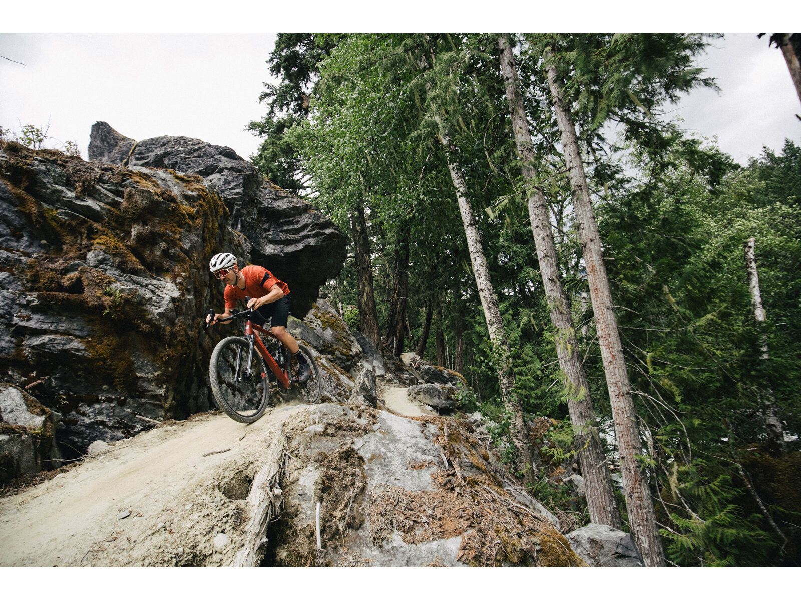 Santa Cruz Stigmata CC / Apex, british racing green - Bild 12