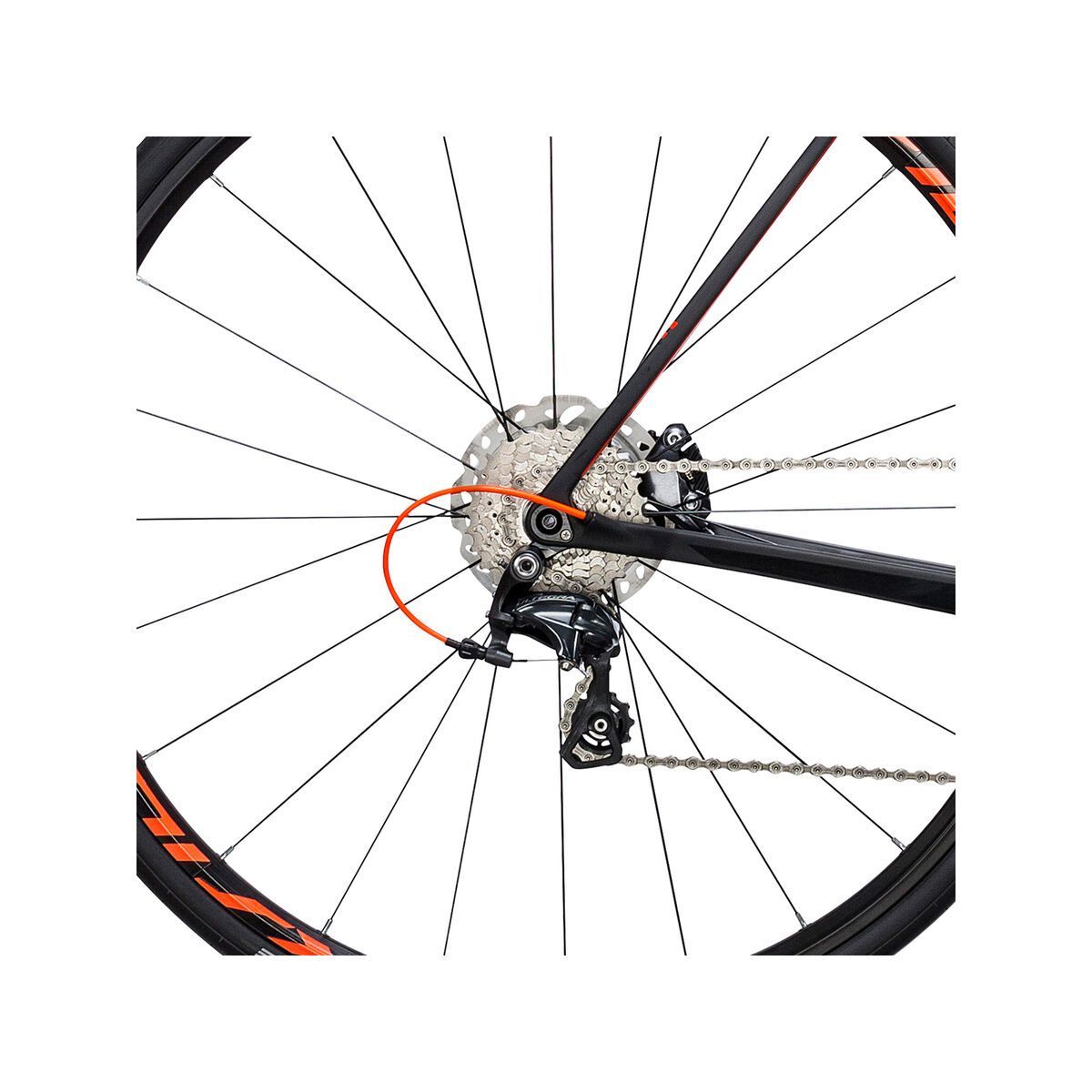 Cube Litening C:62 Disc, carbon´n´flashred - Bild 4