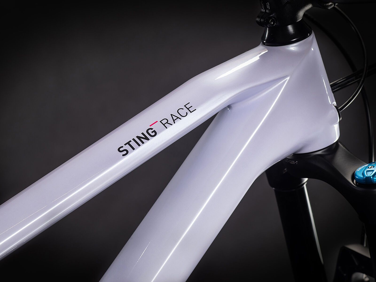 Cube Sting WS 140 HPC Race, violetwhite´n´carbon - Bild 2