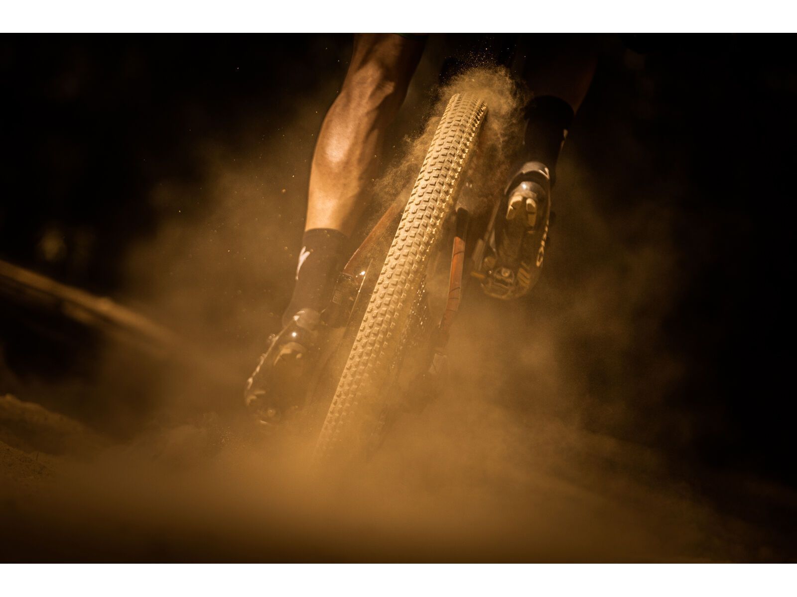 Specialized Renegade Control 2Bliss Ready T5 - 29, tan sidewall - Bild 3