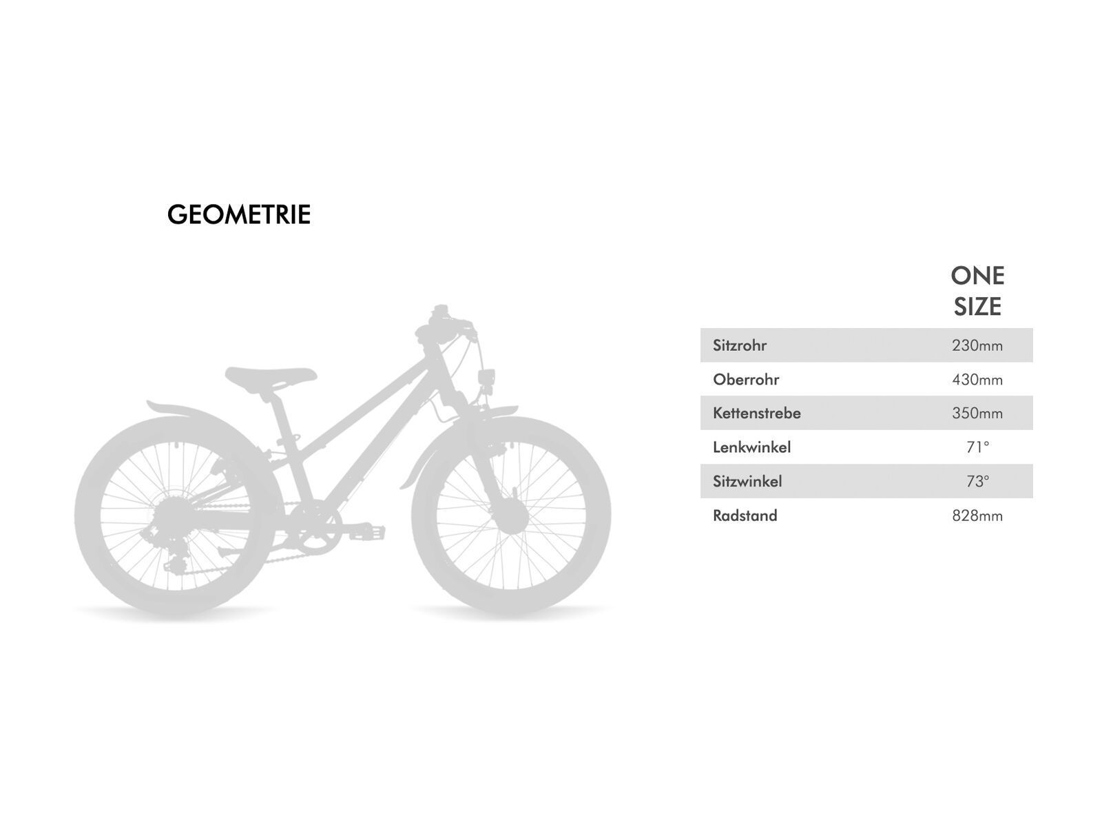 Conway MS 200 Suspension, turquoise/black - Bild 2