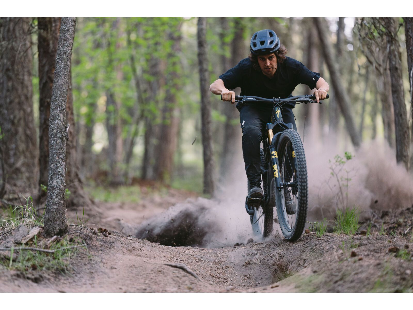 Specialized Stumpjumper 15 Pro - 29/29, satin green tint/gunmetal/satin metallic sulphur - Bild 16